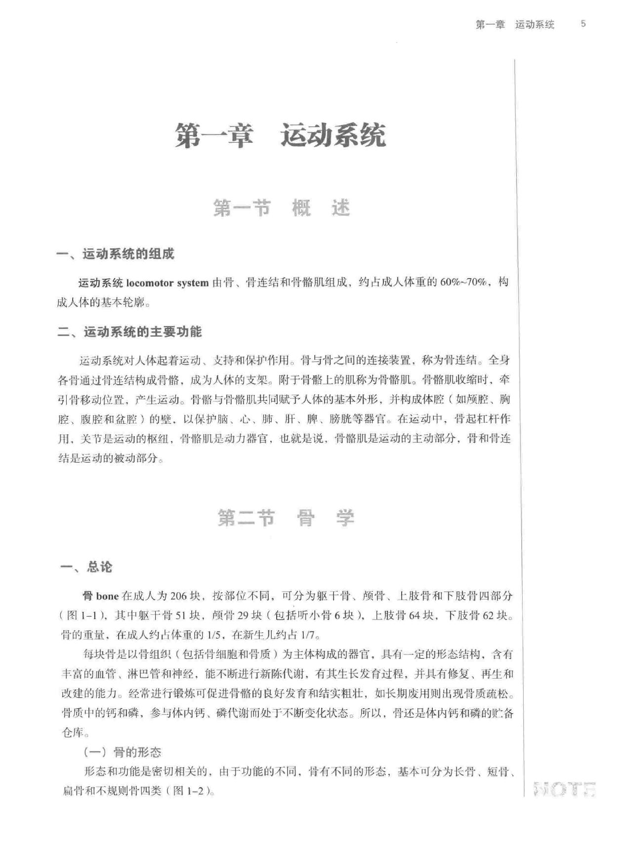 人体解剖学.pdf_第19页