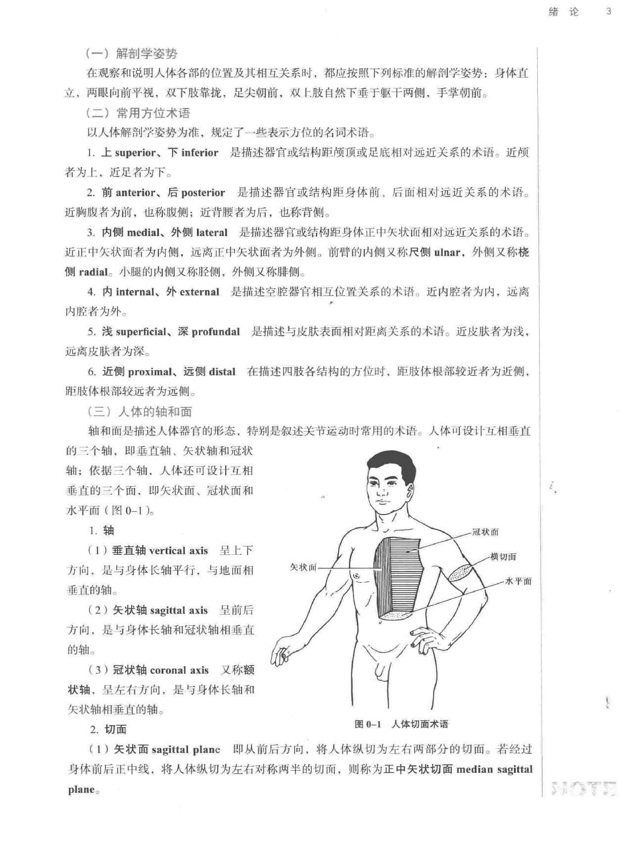 人体解剖学.pdf_第17页