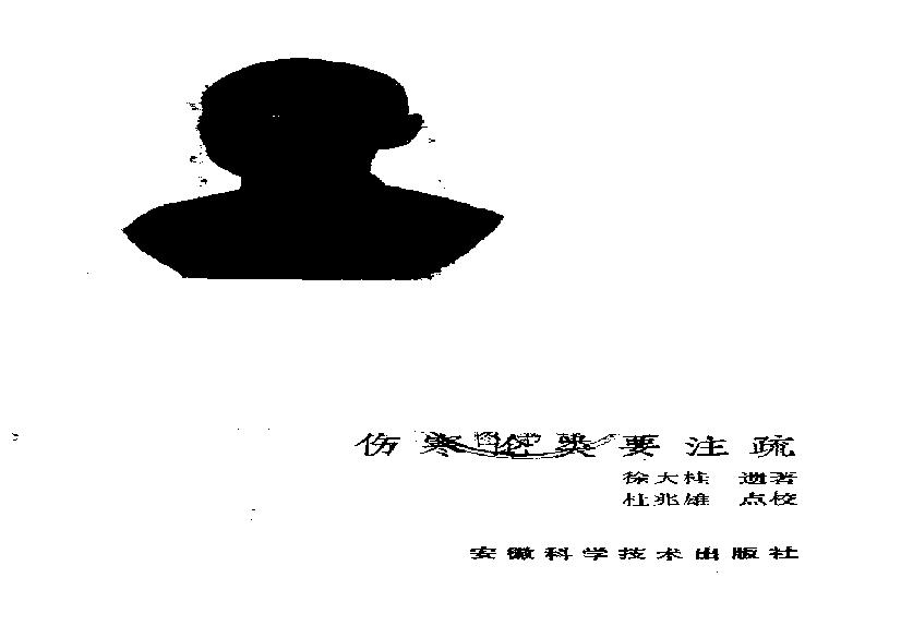 伤寒论类药注疏.pdf(4MB_203页)