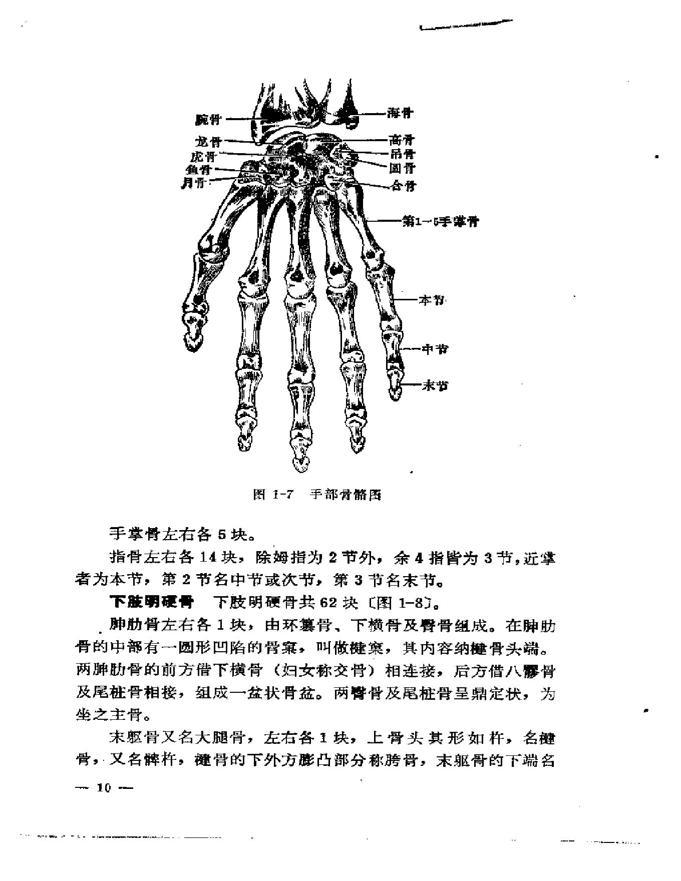 刘寿山正骨经验（修订扫描版）.pdf_第19页