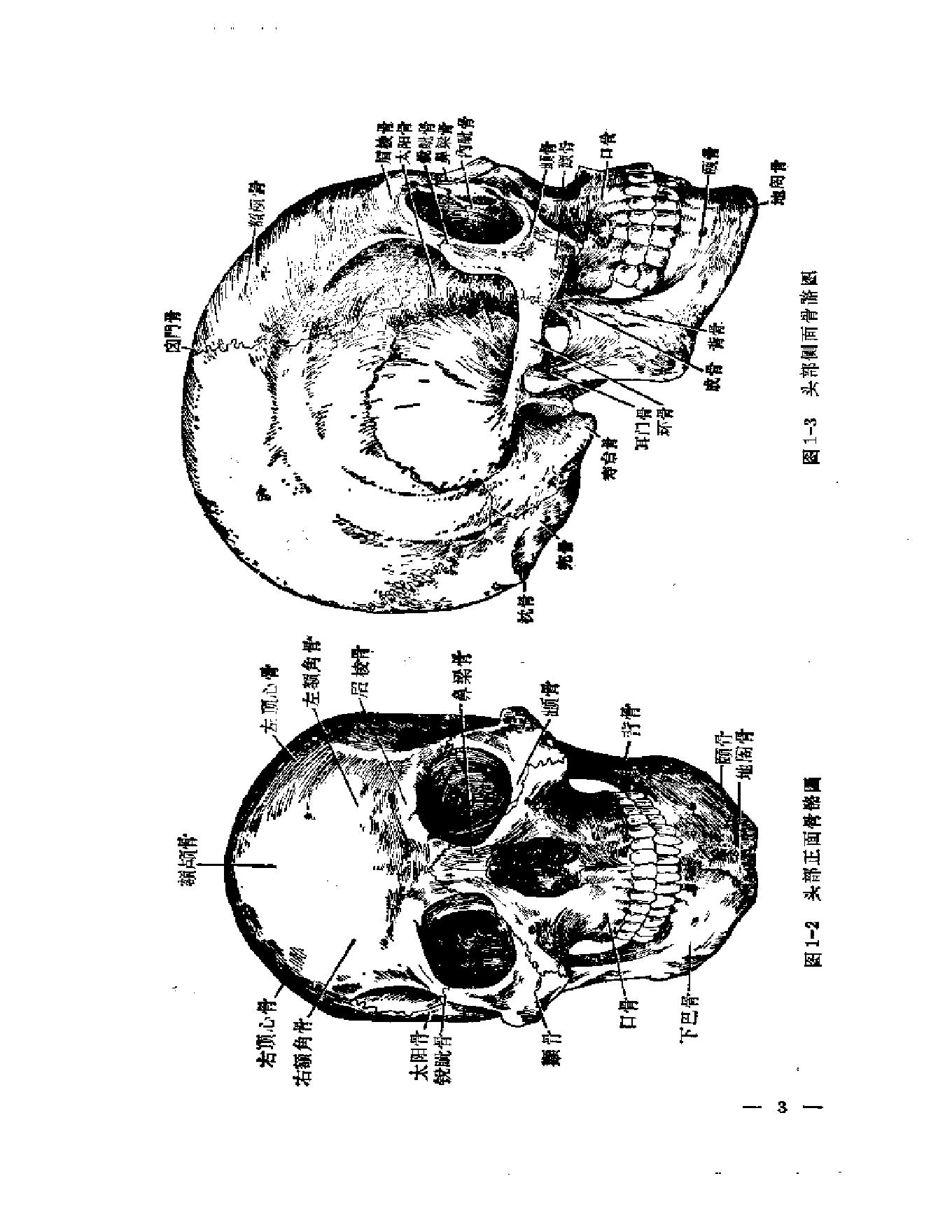 刘寿山正骨经验（修订扫描版）.pdf_第12页