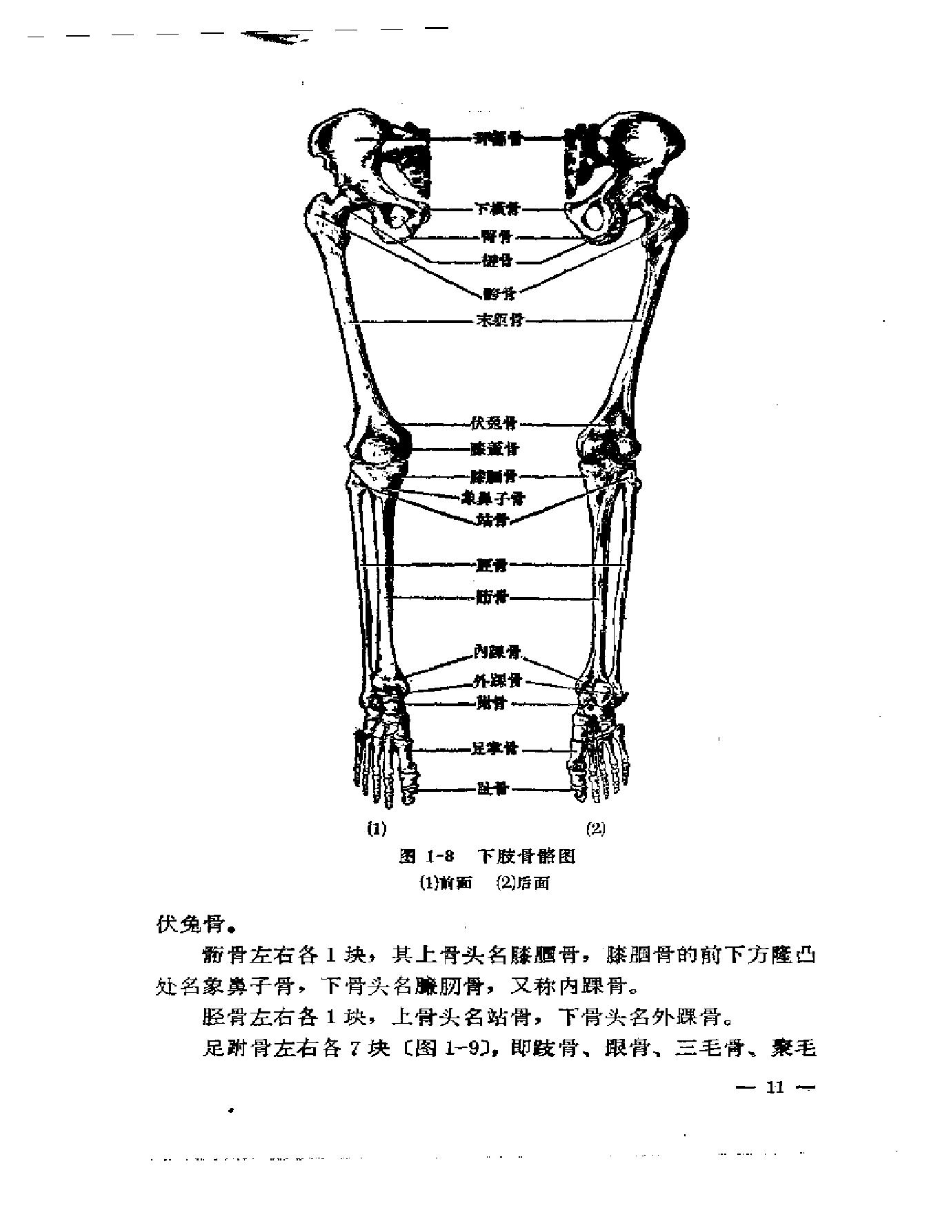 刘寿山正骨经验（修订扫描版）.pdf_第20页