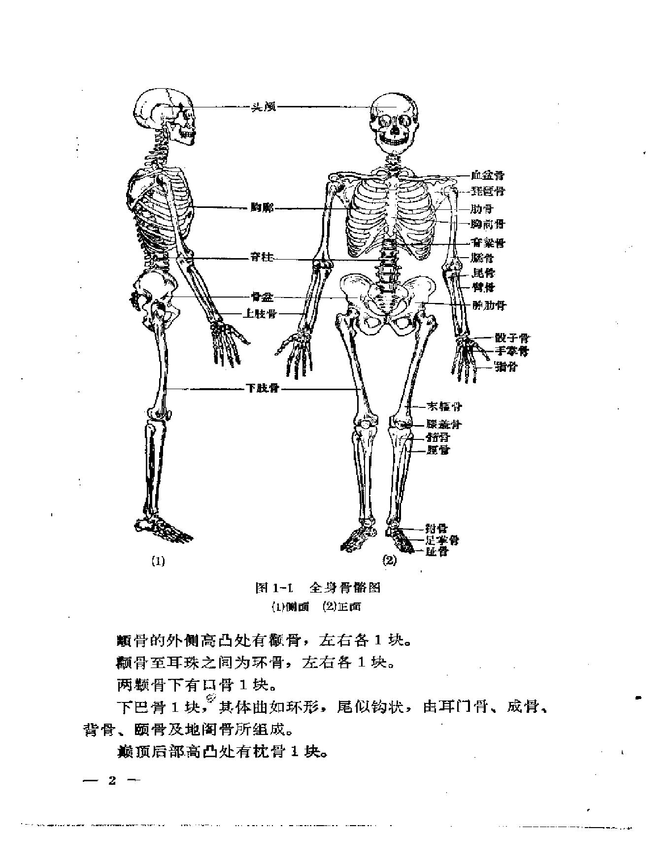 刘寿山正骨经验（修订扫描版）.pdf_第11页