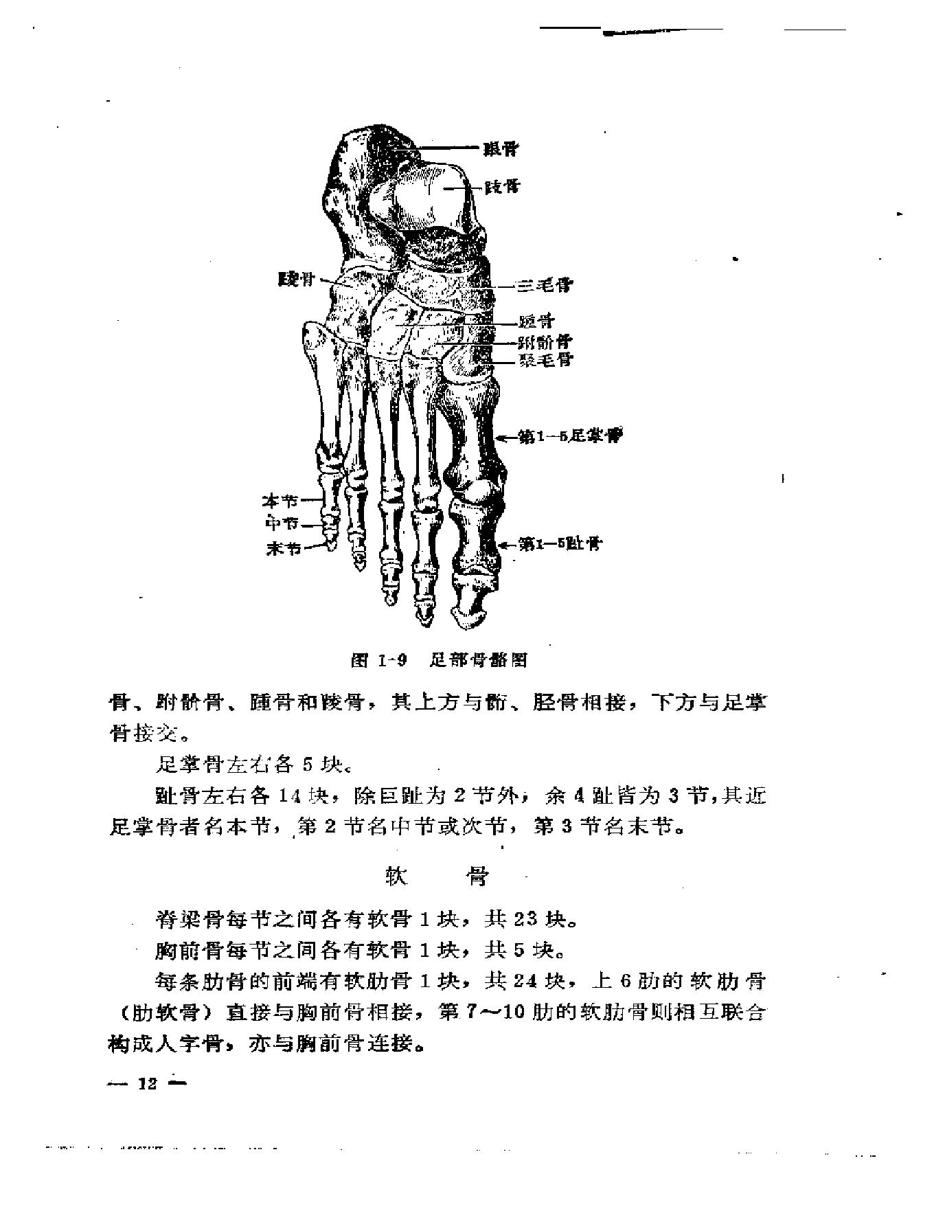 刘寿山正骨经验（修订扫描版）.pdf_第21页