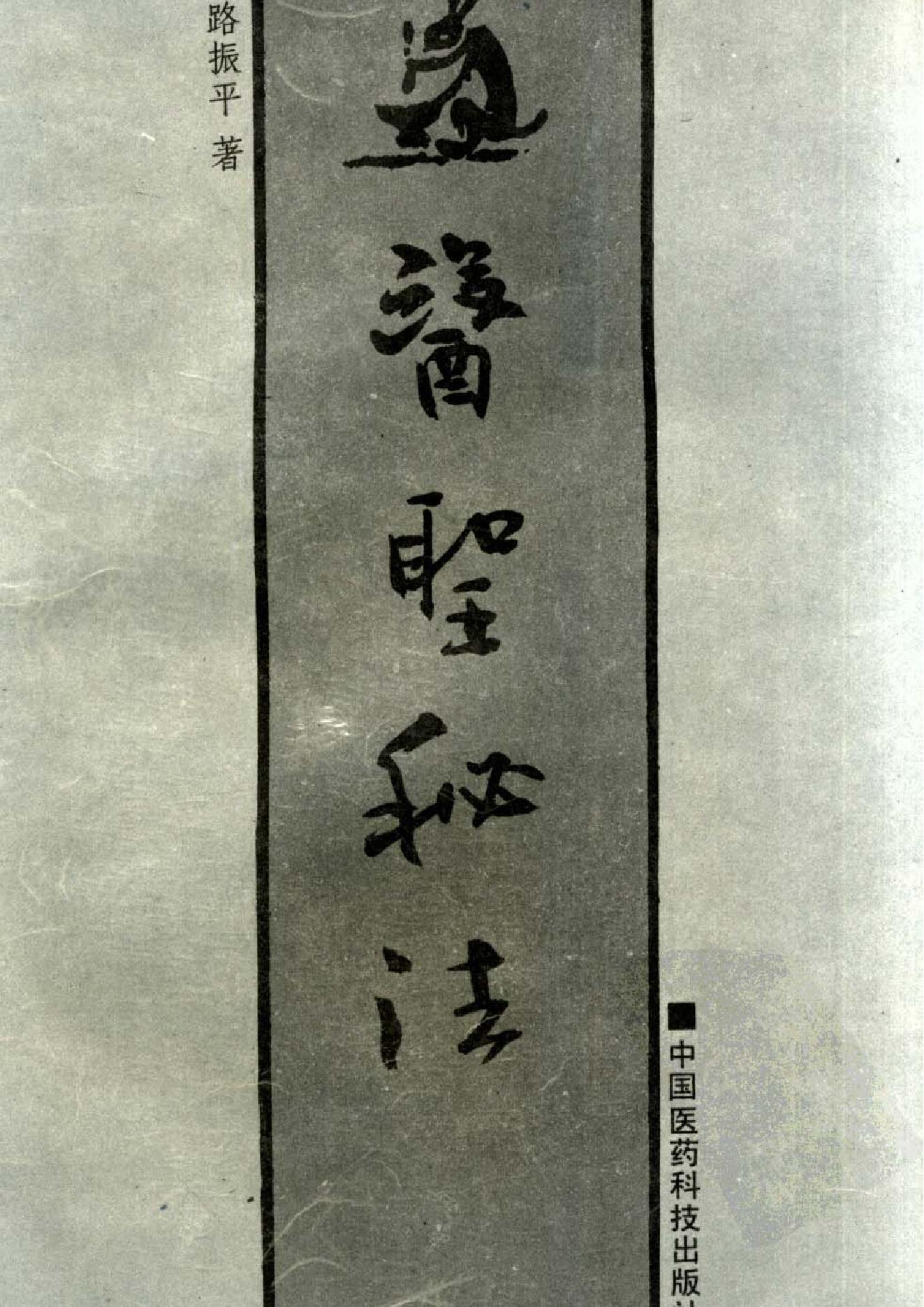 医圣秘法.路振平.pdf_第1页