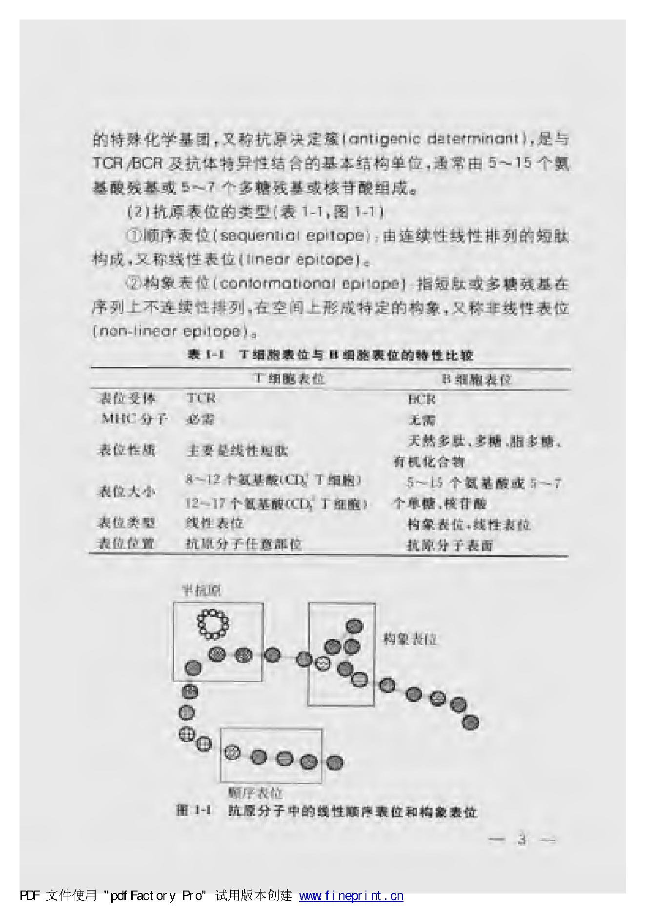 协和听课笔记：免疫学.pdf_第13页