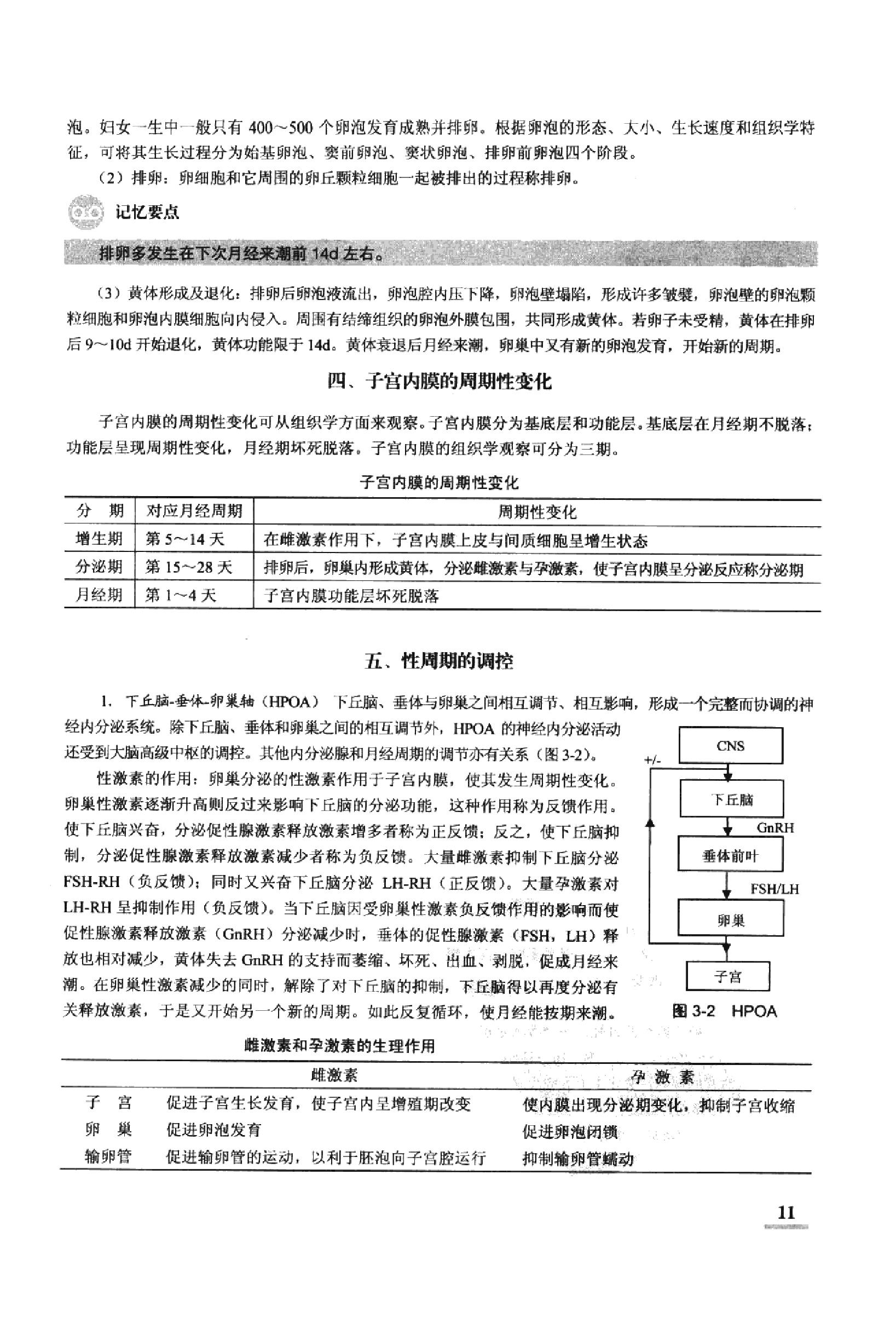 协和听课笔记：妇产科学.pdf_第15页