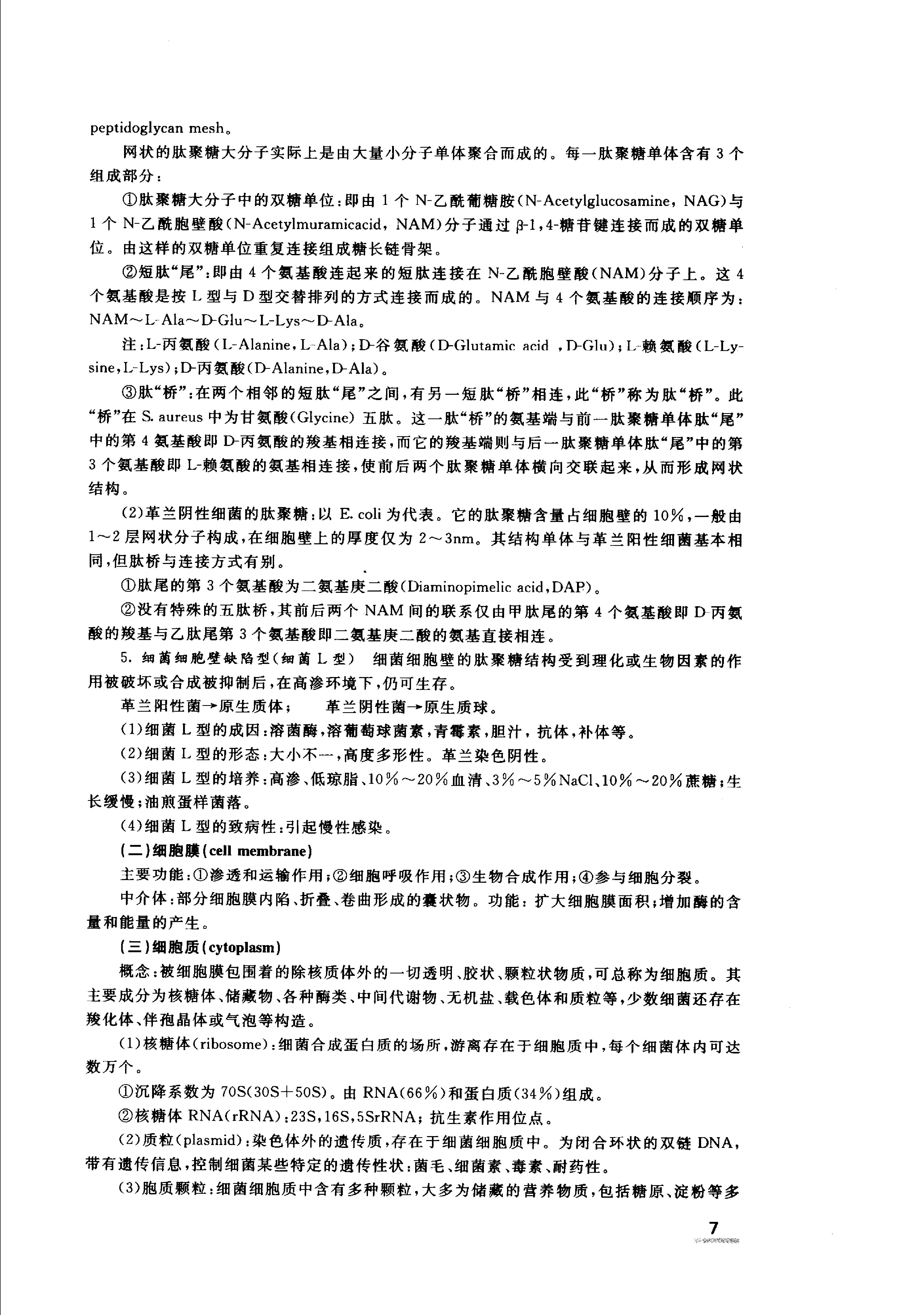 协和听课笔记：微生物学.pdf_第12页