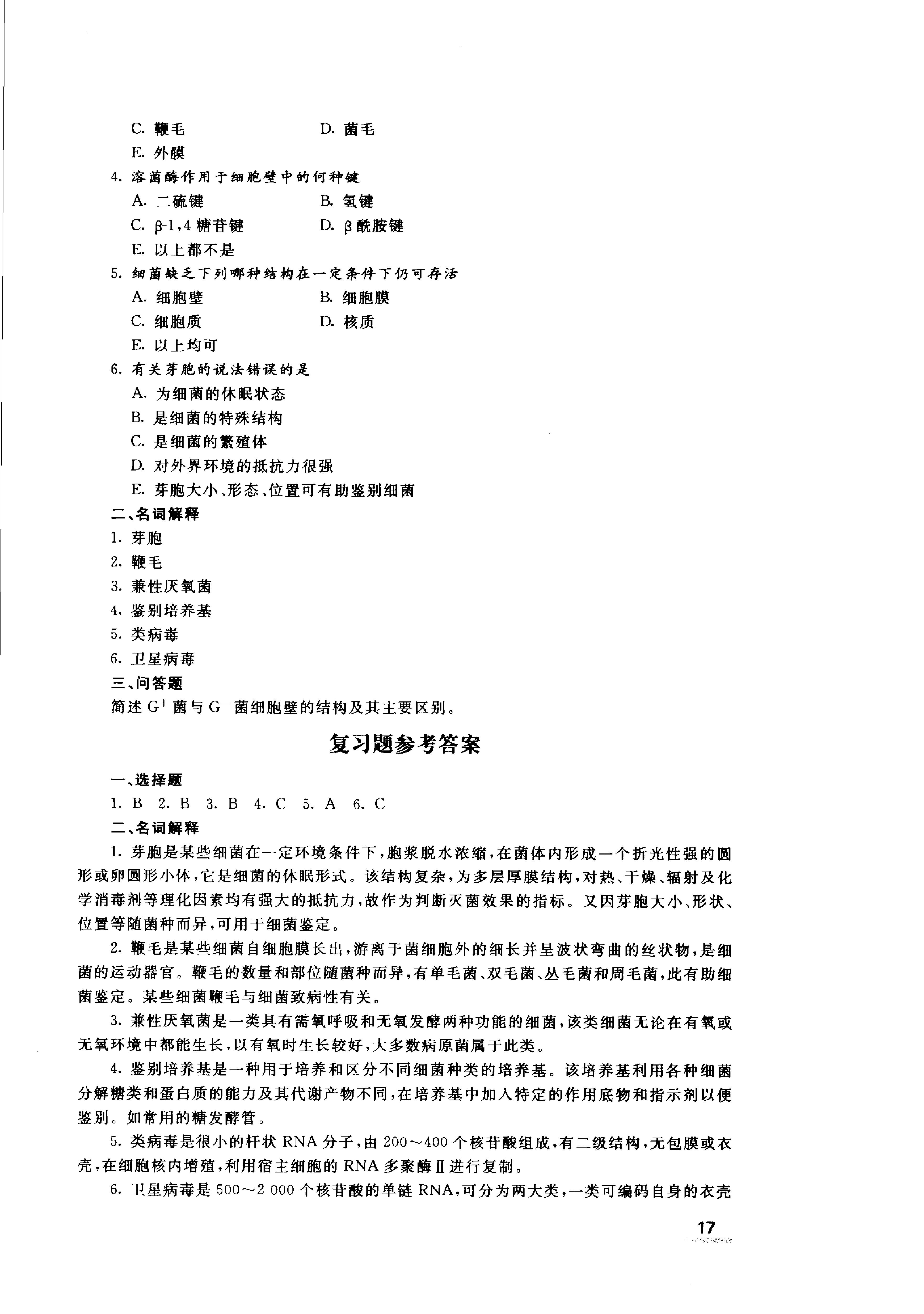 协和听课笔记：微生物学.pdf_第22页