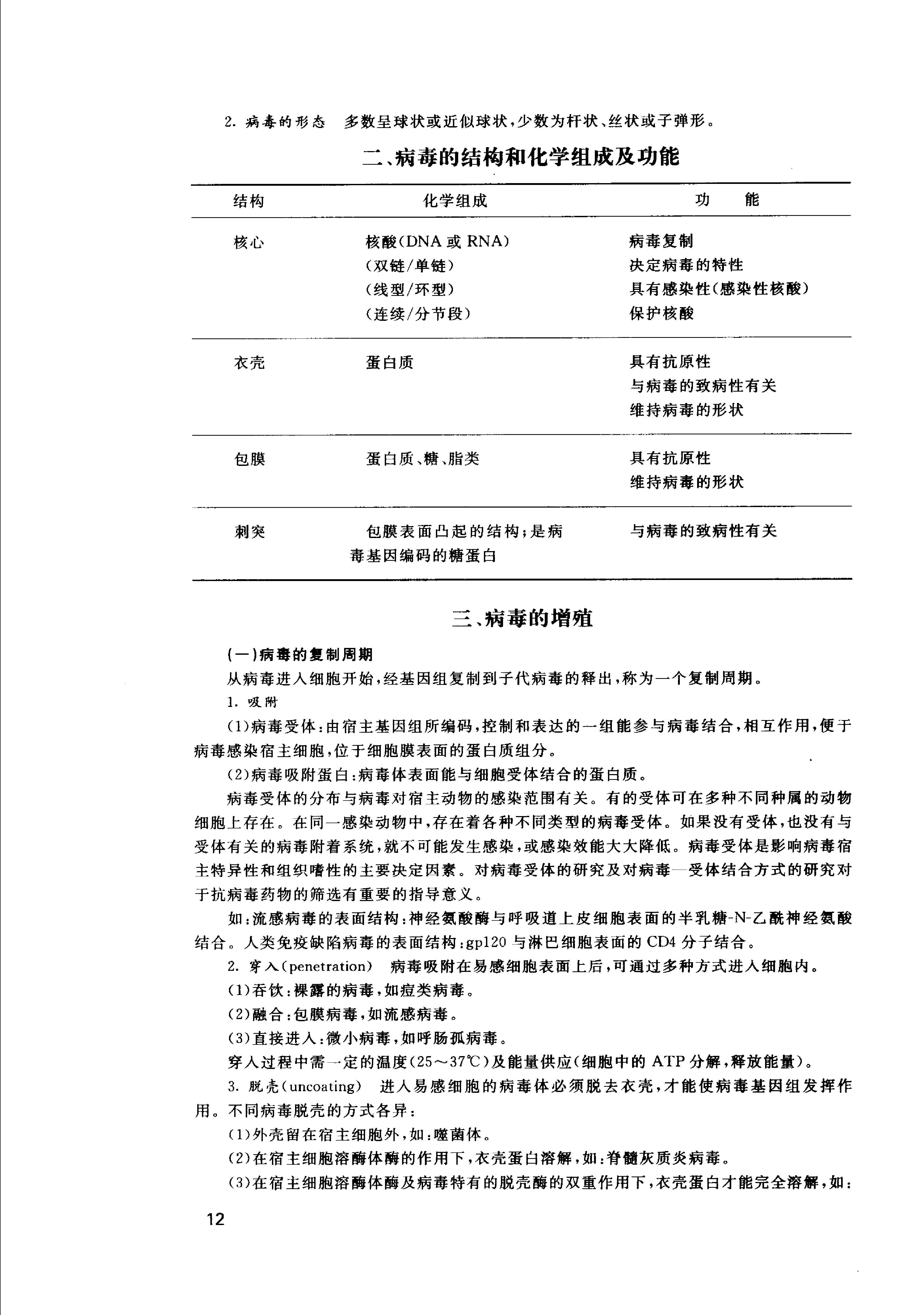 协和听课笔记：微生物学.pdf_第17页