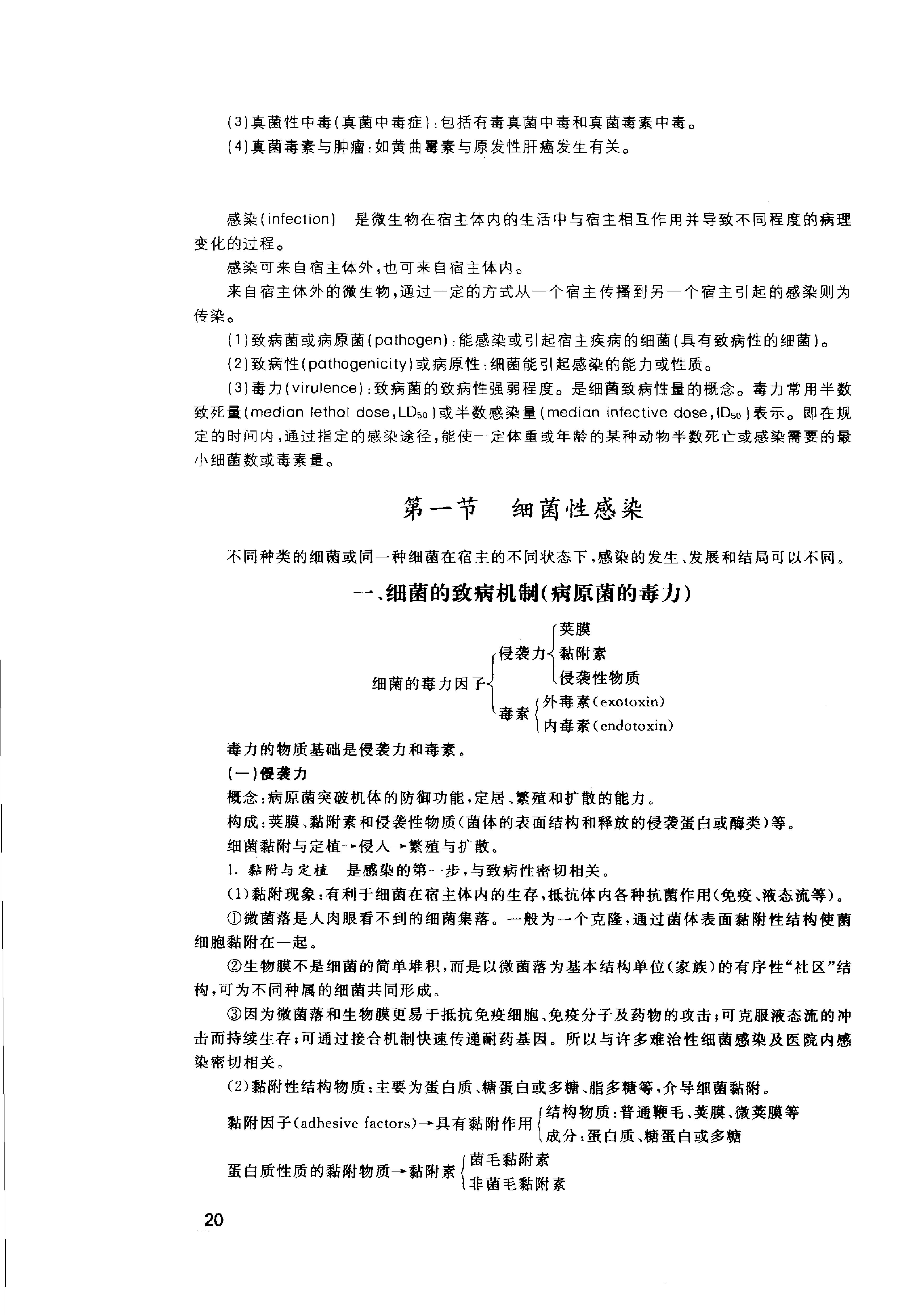 协和听课笔记：微生物学.pdf_第25页