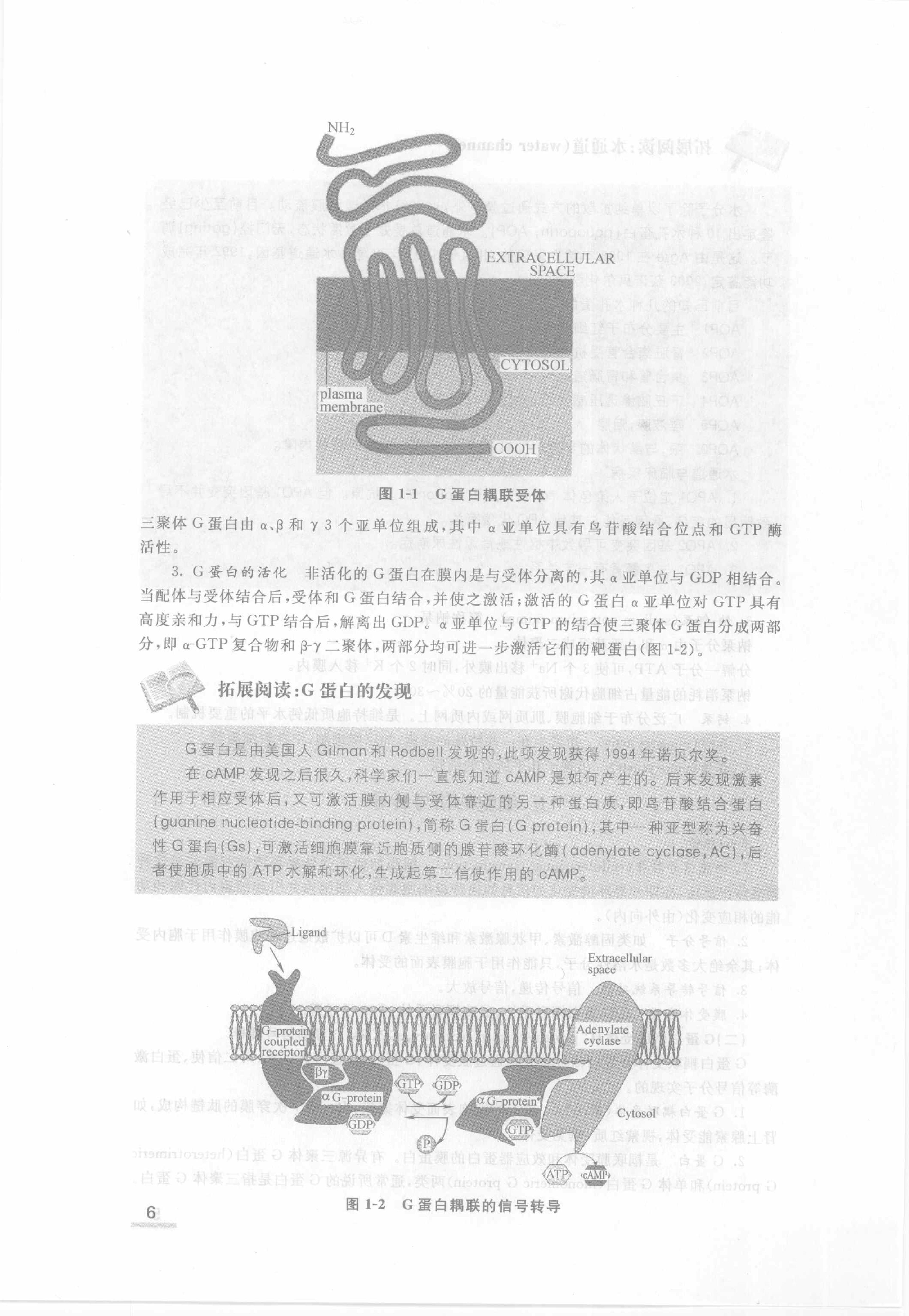 协和听课笔记：生理学.pdf_第12页