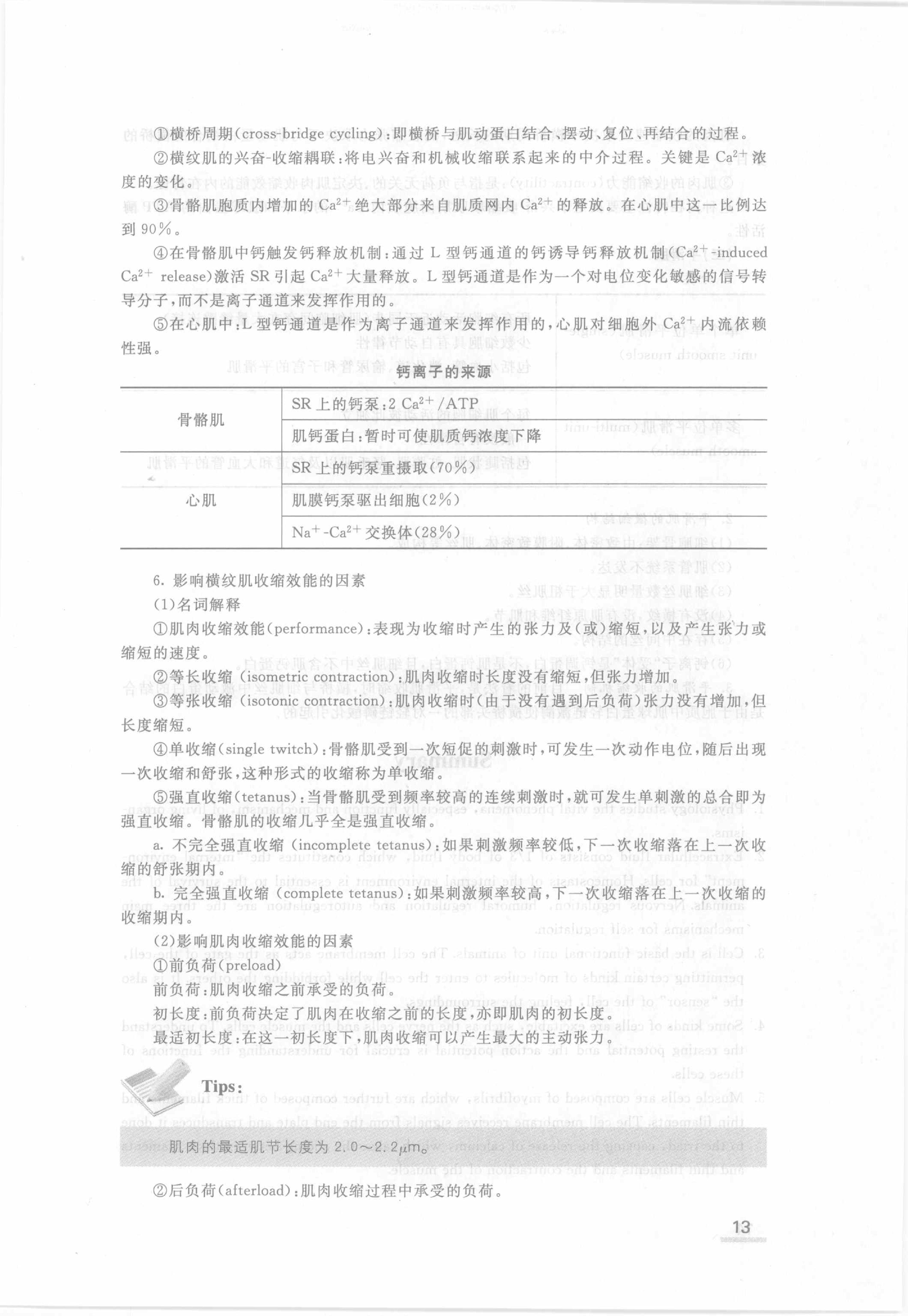 协和听课笔记：生理学.pdf_第19页