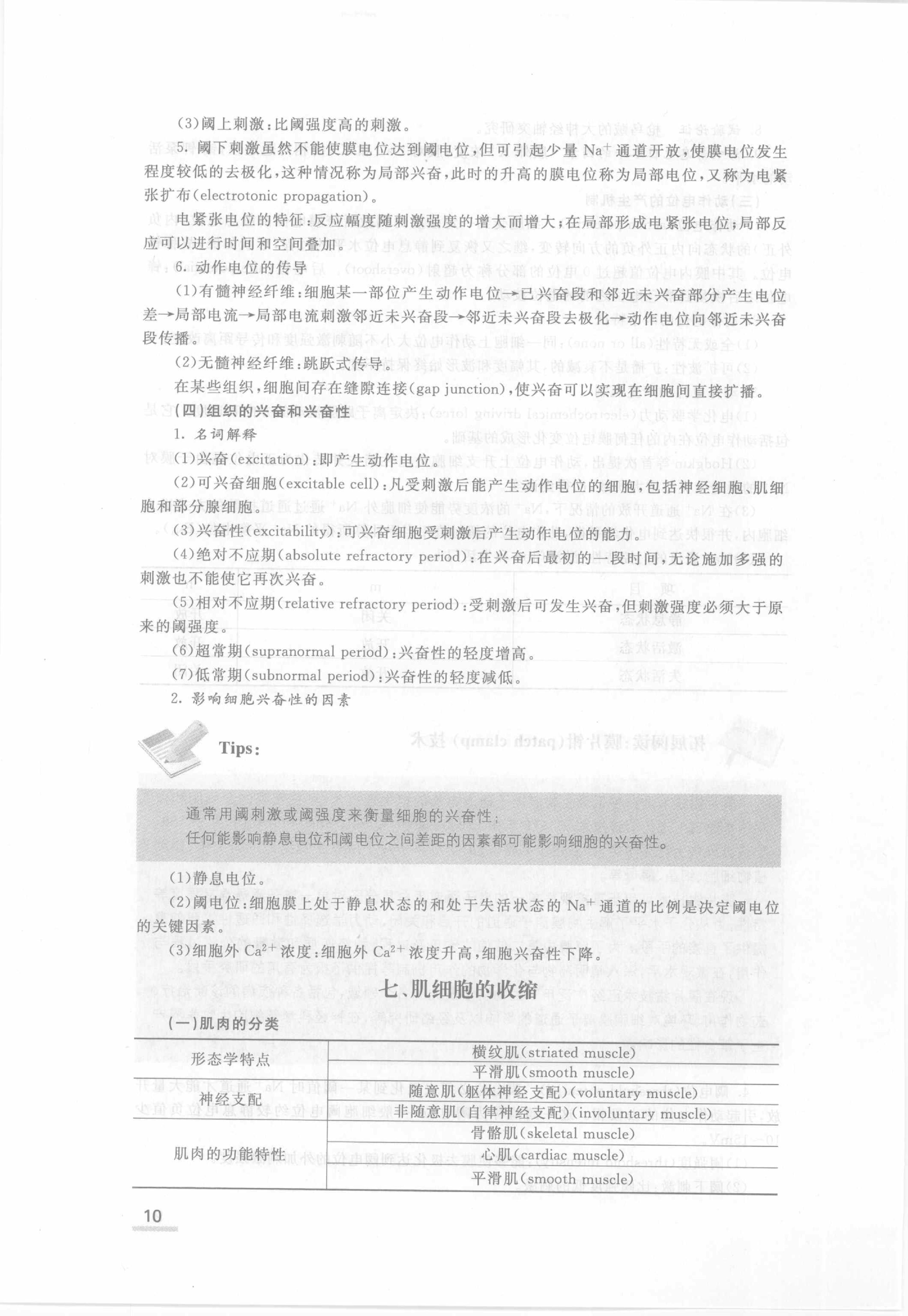 协和听课笔记：生理学.pdf_第16页