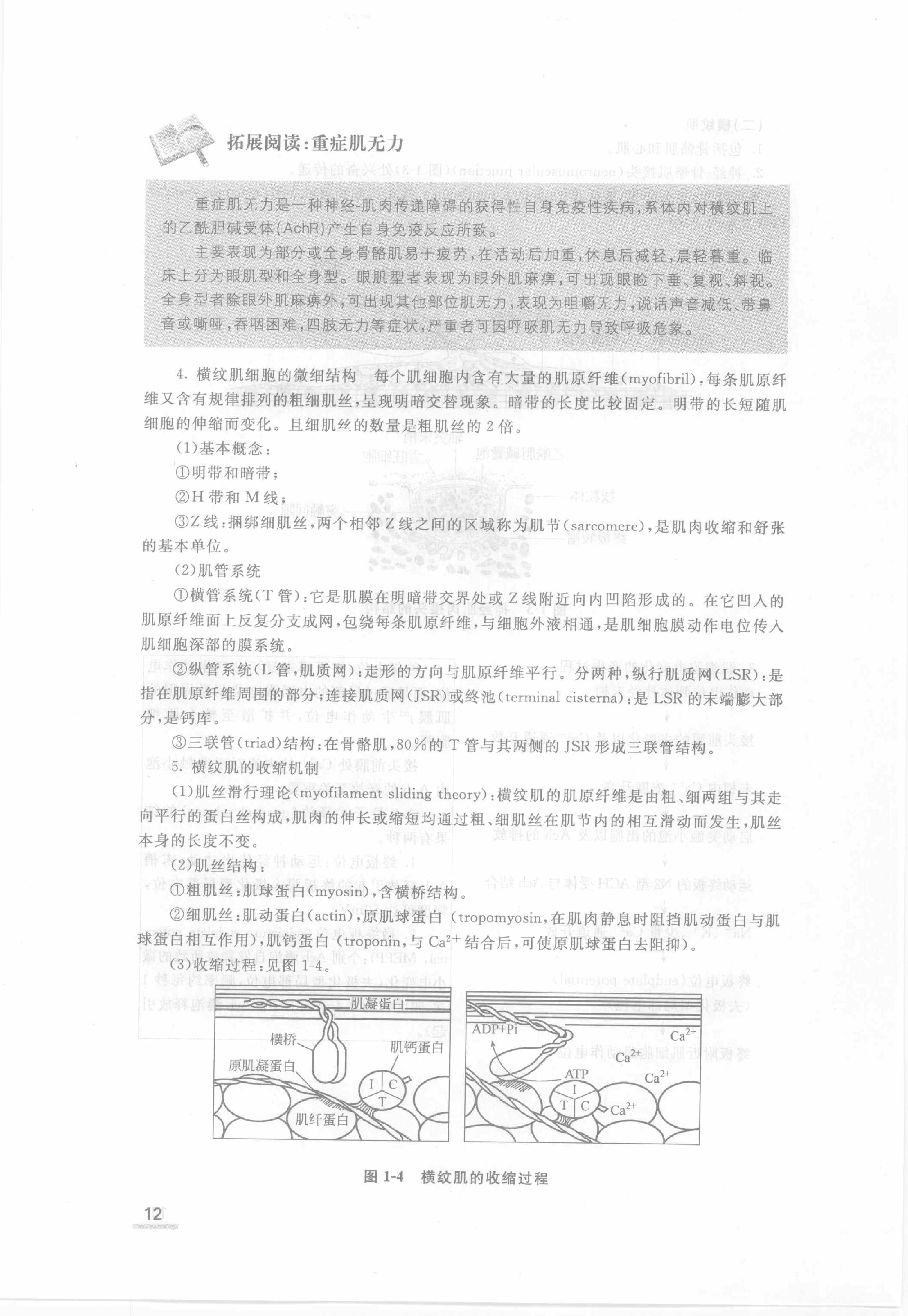 协和听课笔记：生理学.pdf_第18页