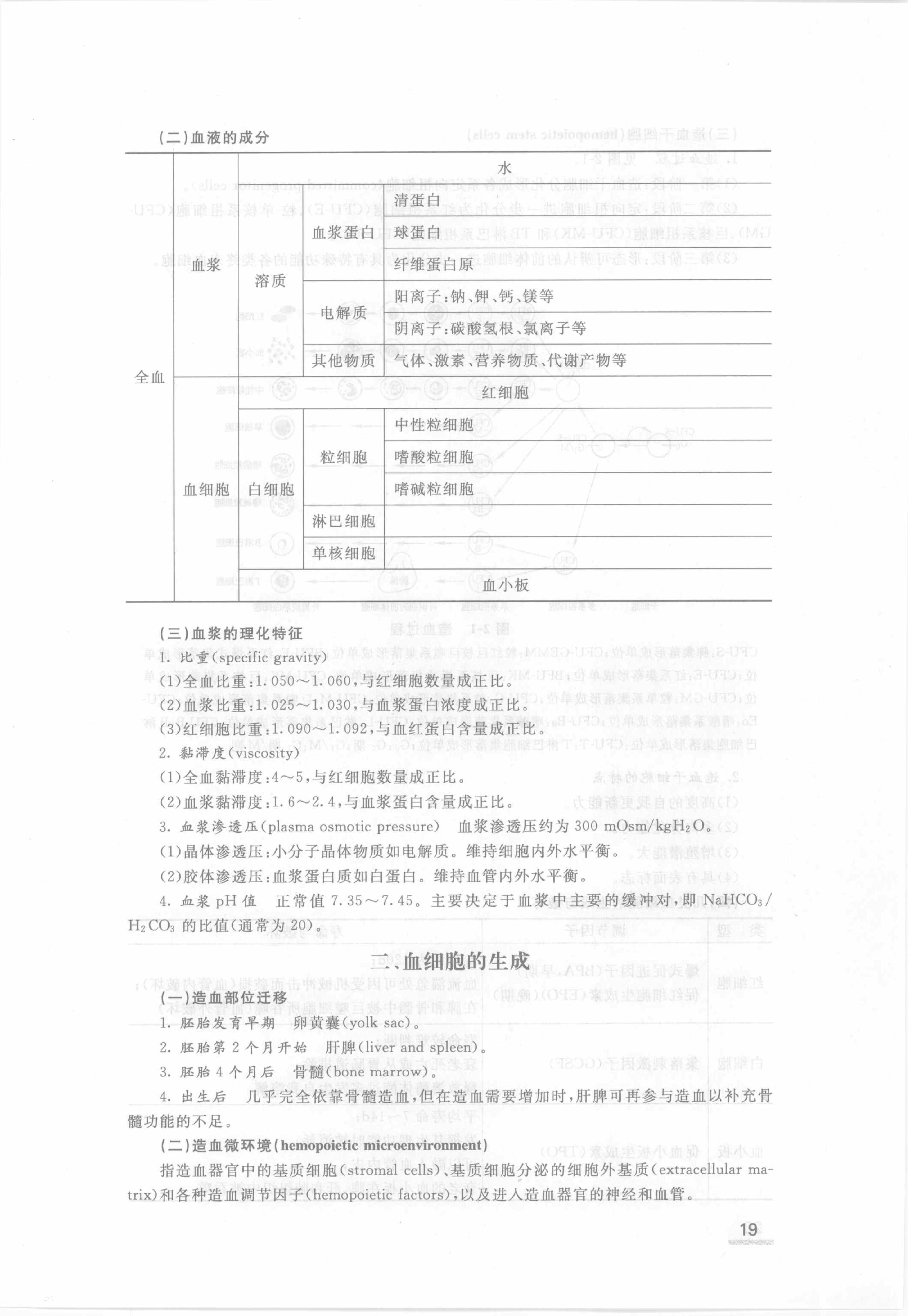 协和听课笔记：生理学.pdf_第25页