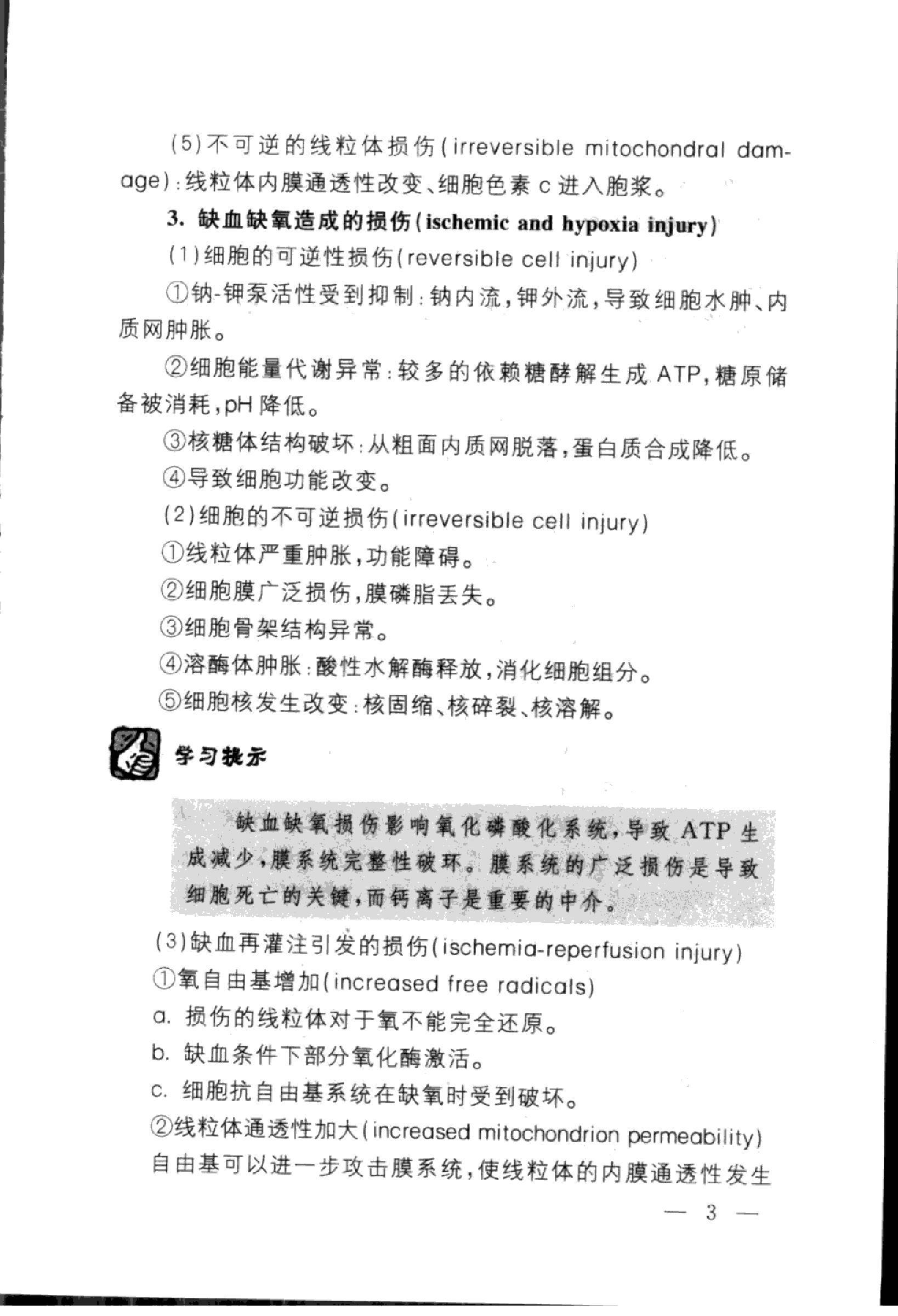 协和听课笔记：病理学.pdf_第13页