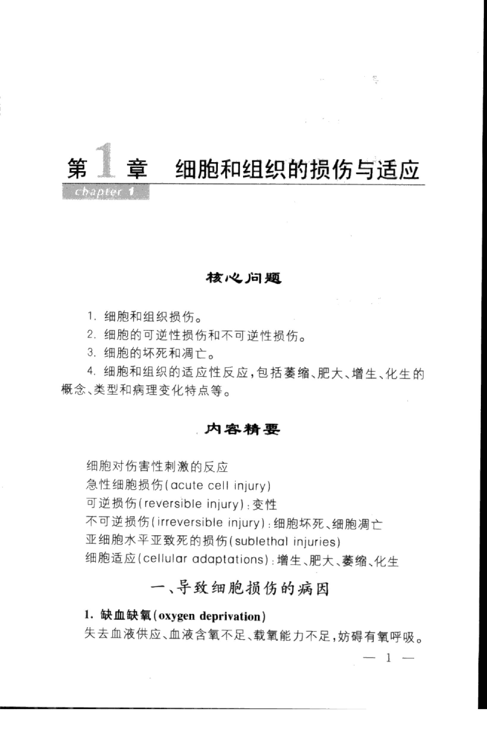 协和听课笔记：病理学.pdf_第11页