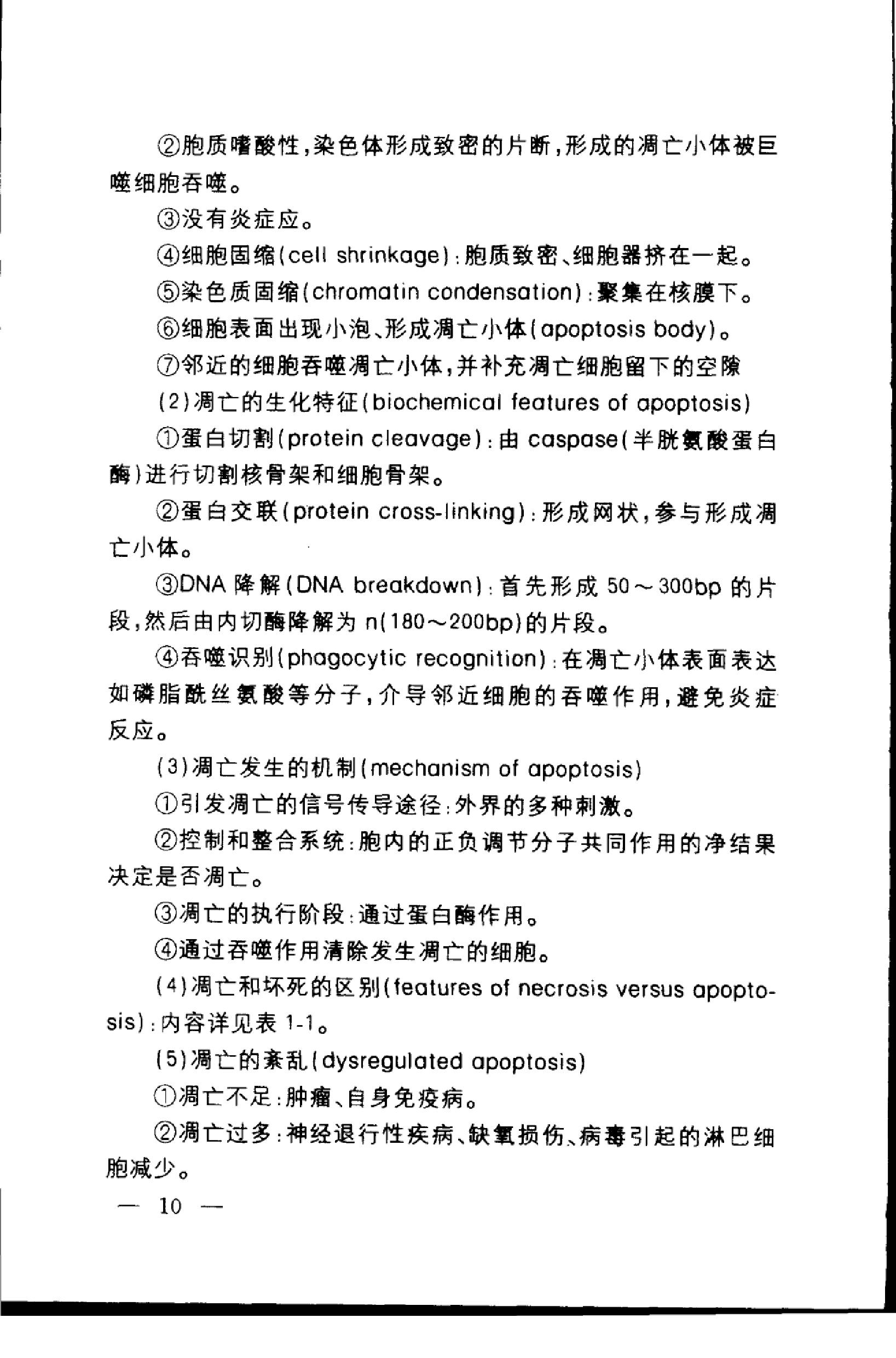 协和听课笔记：病理学.pdf_第20页