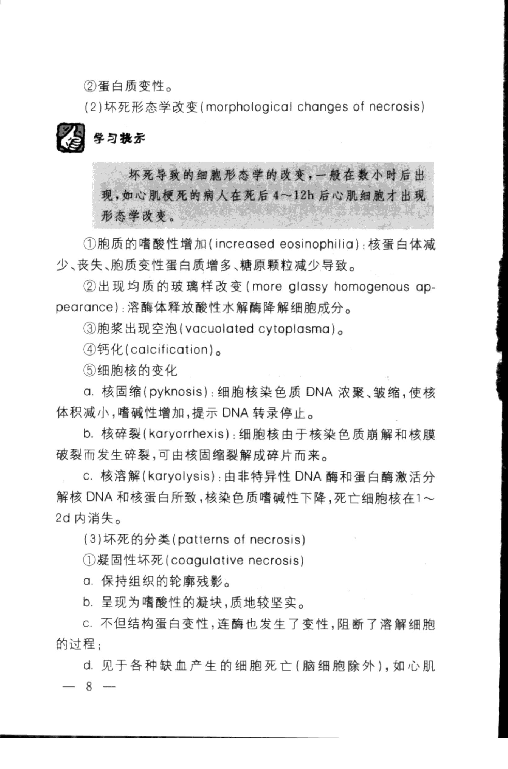 协和听课笔记：病理学.pdf_第18页