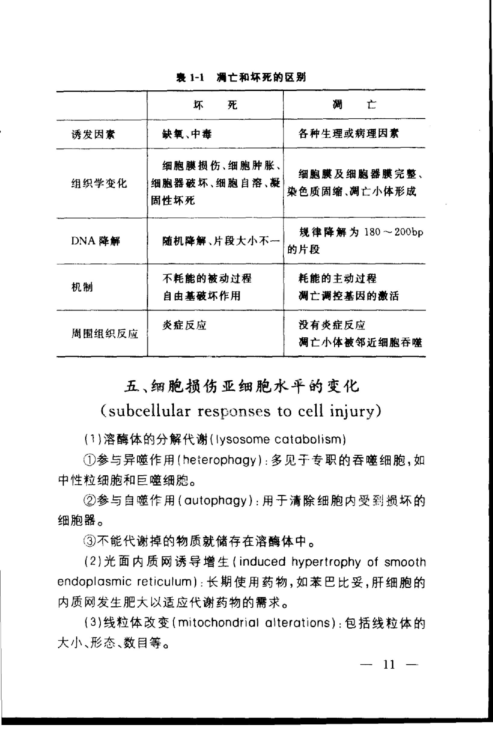 协和听课笔记：病理学.pdf_第21页