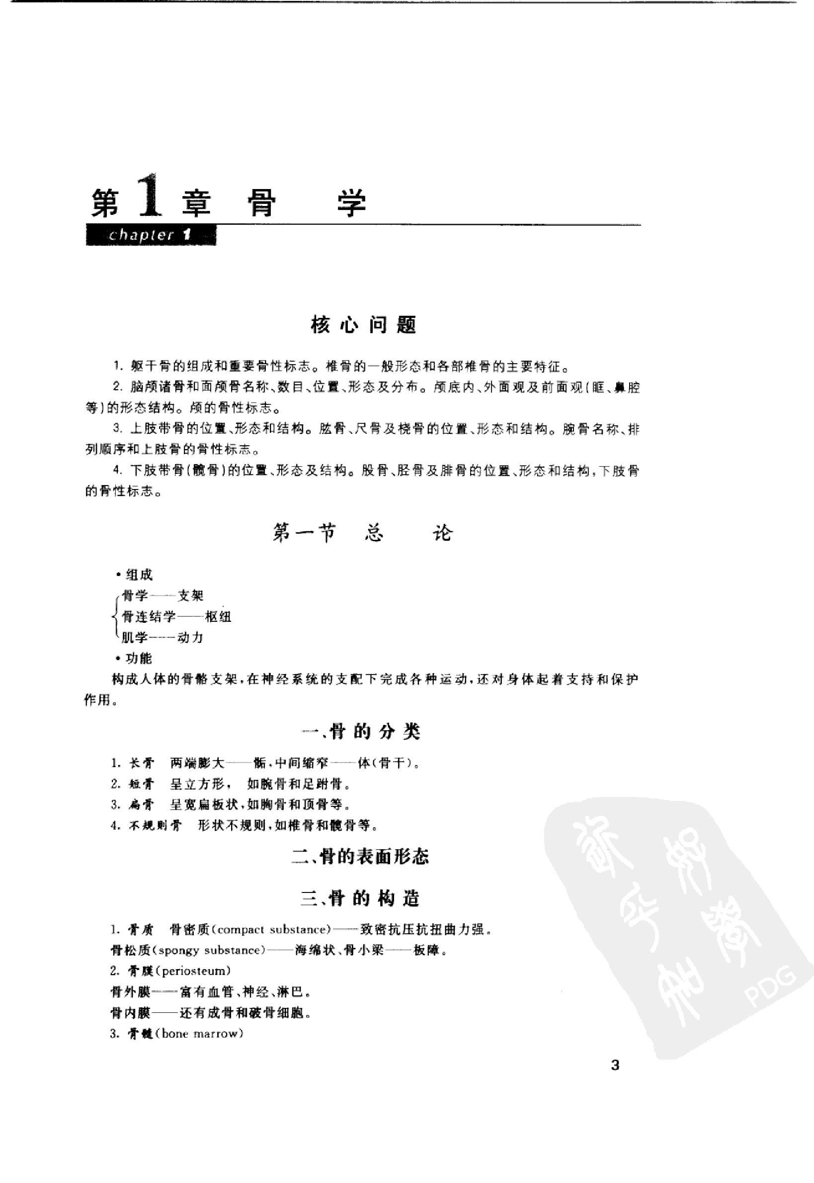 协和听课笔记：系统解剖学.pdf_第11页