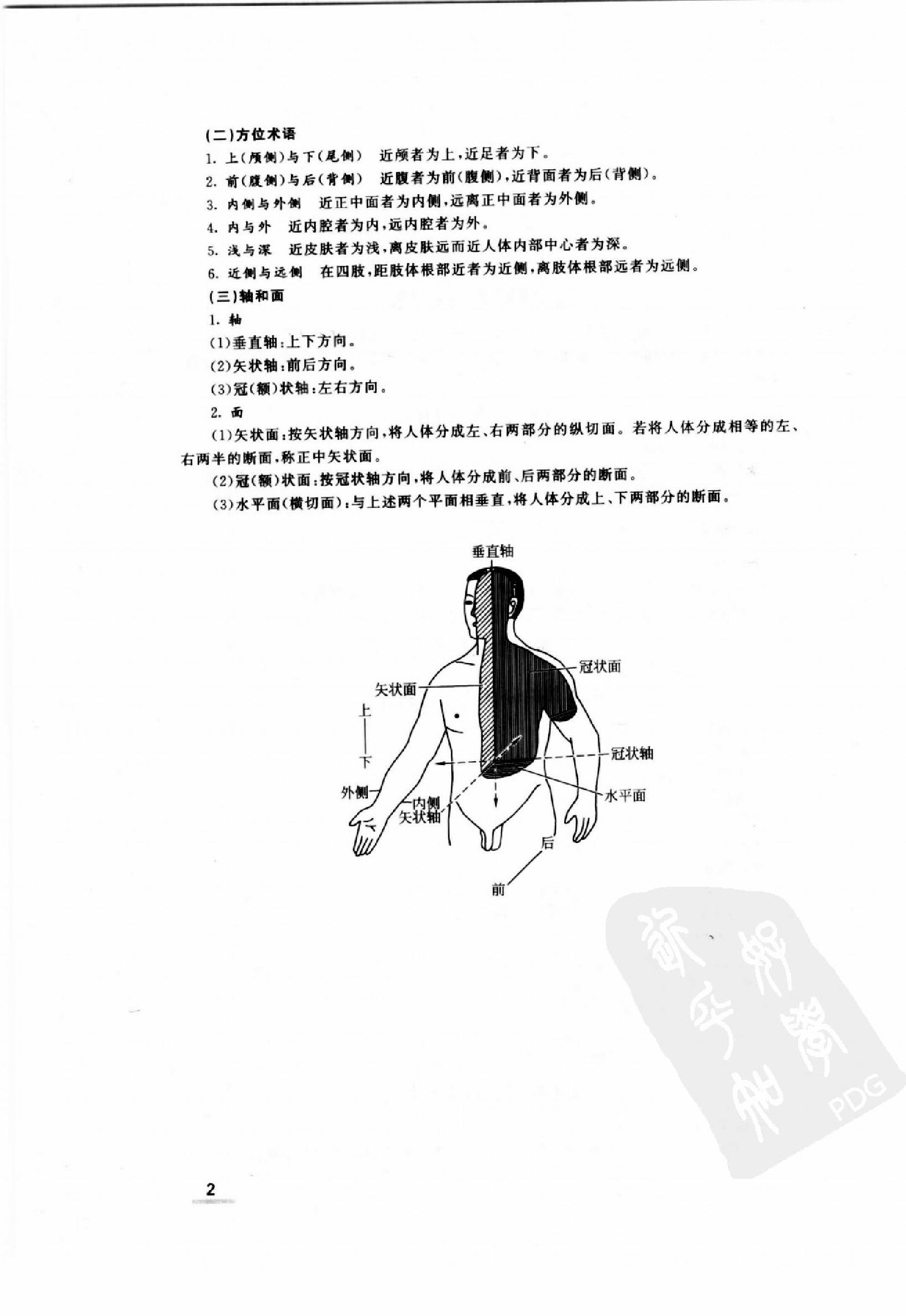 协和听课笔记：系统解剖学.pdf_第10页