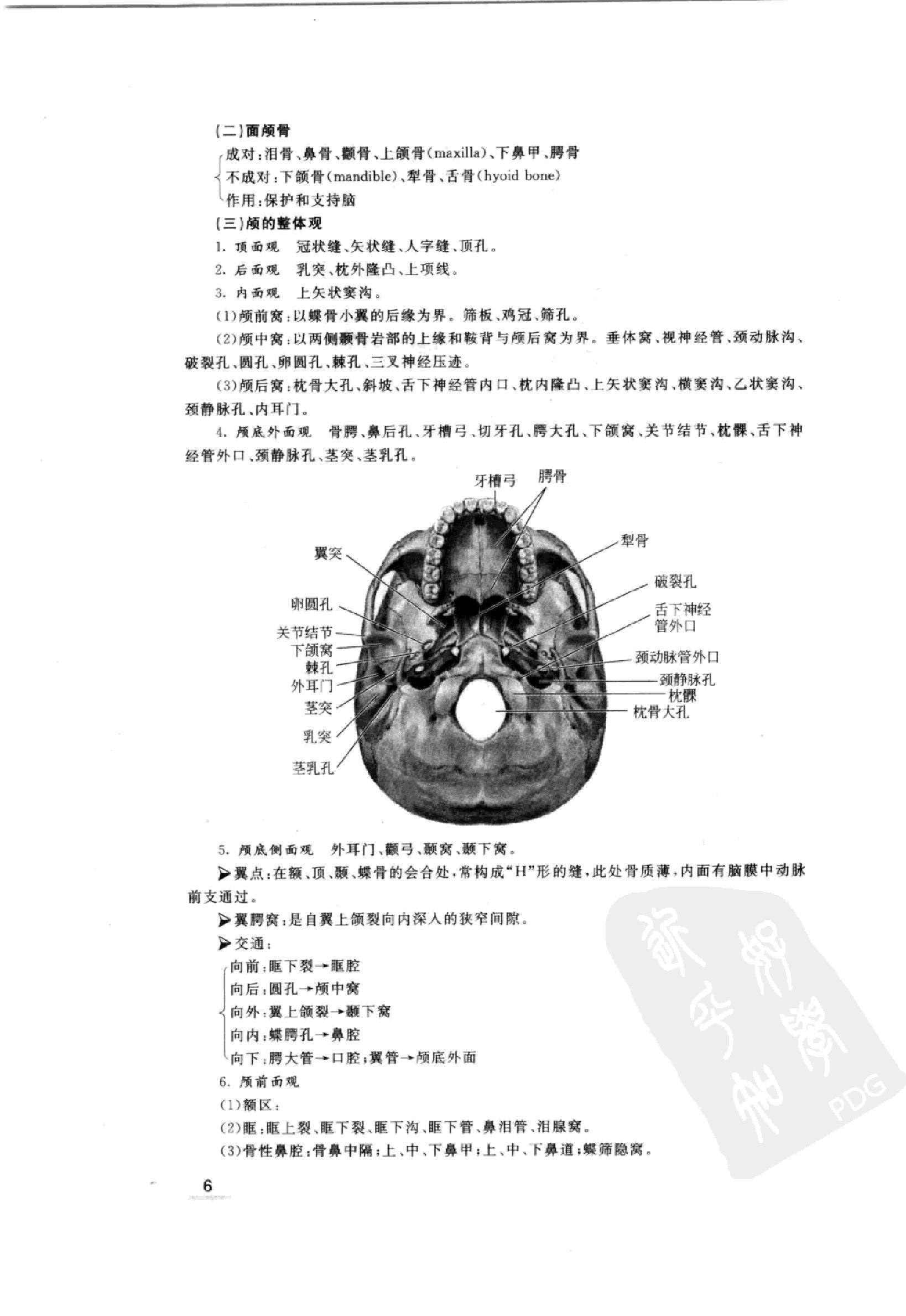 协和听课笔记：系统解剖学.pdf_第14页