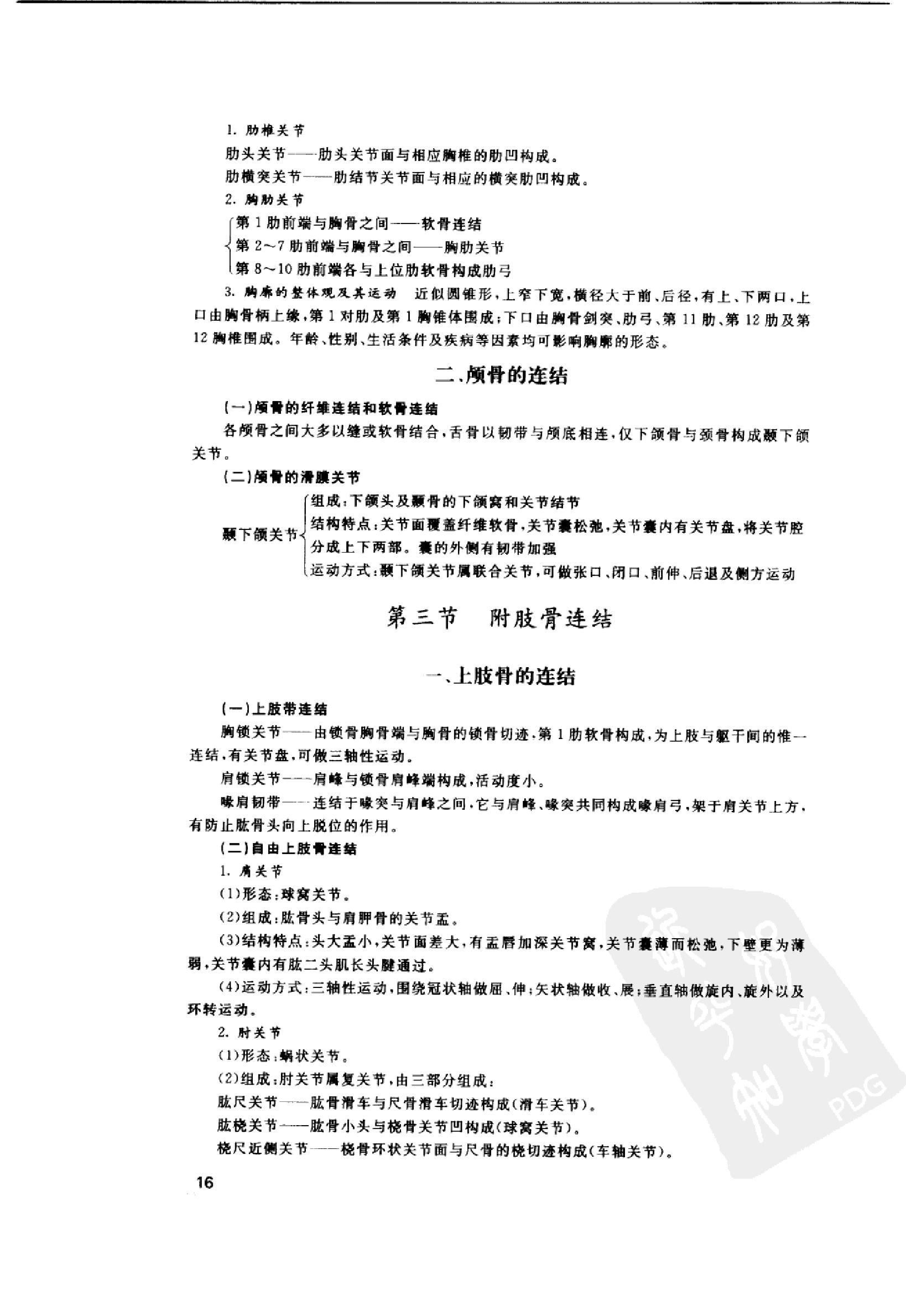 协和听课笔记：系统解剖学.pdf_第24页