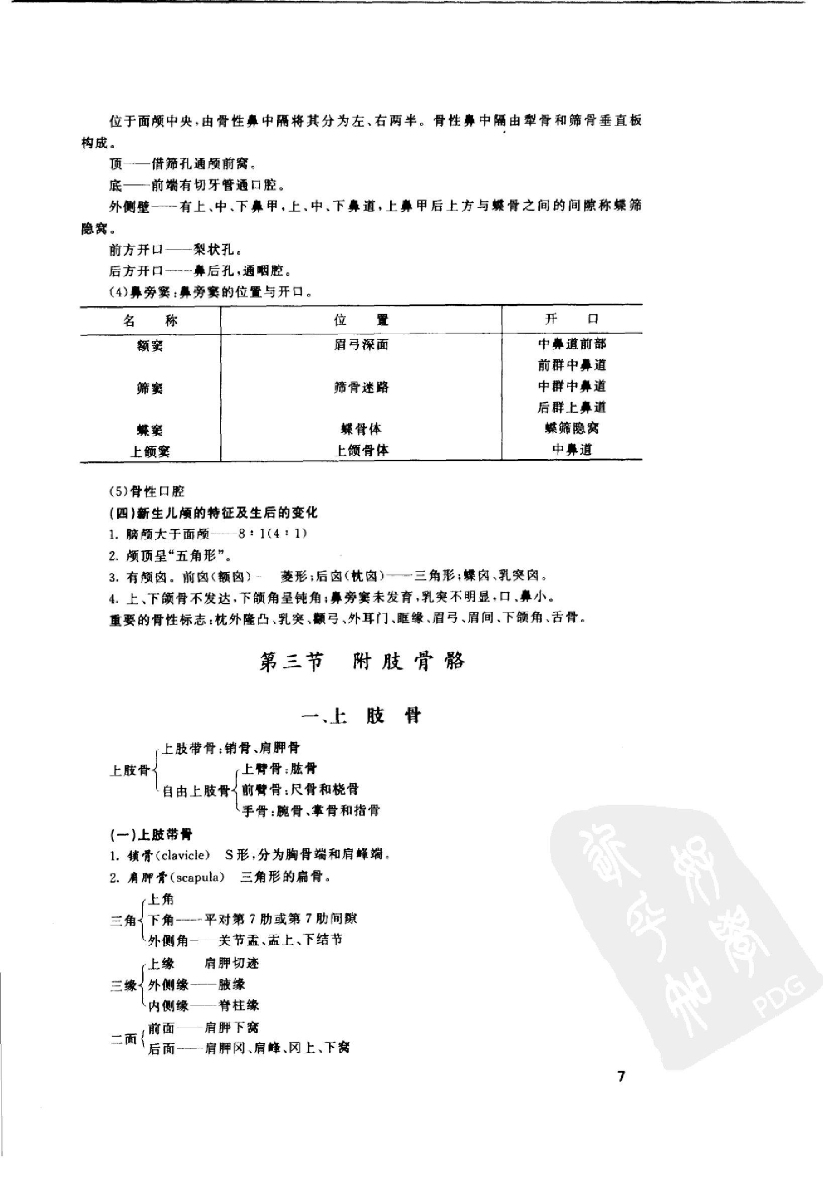 协和听课笔记：系统解剖学.pdf_第15页