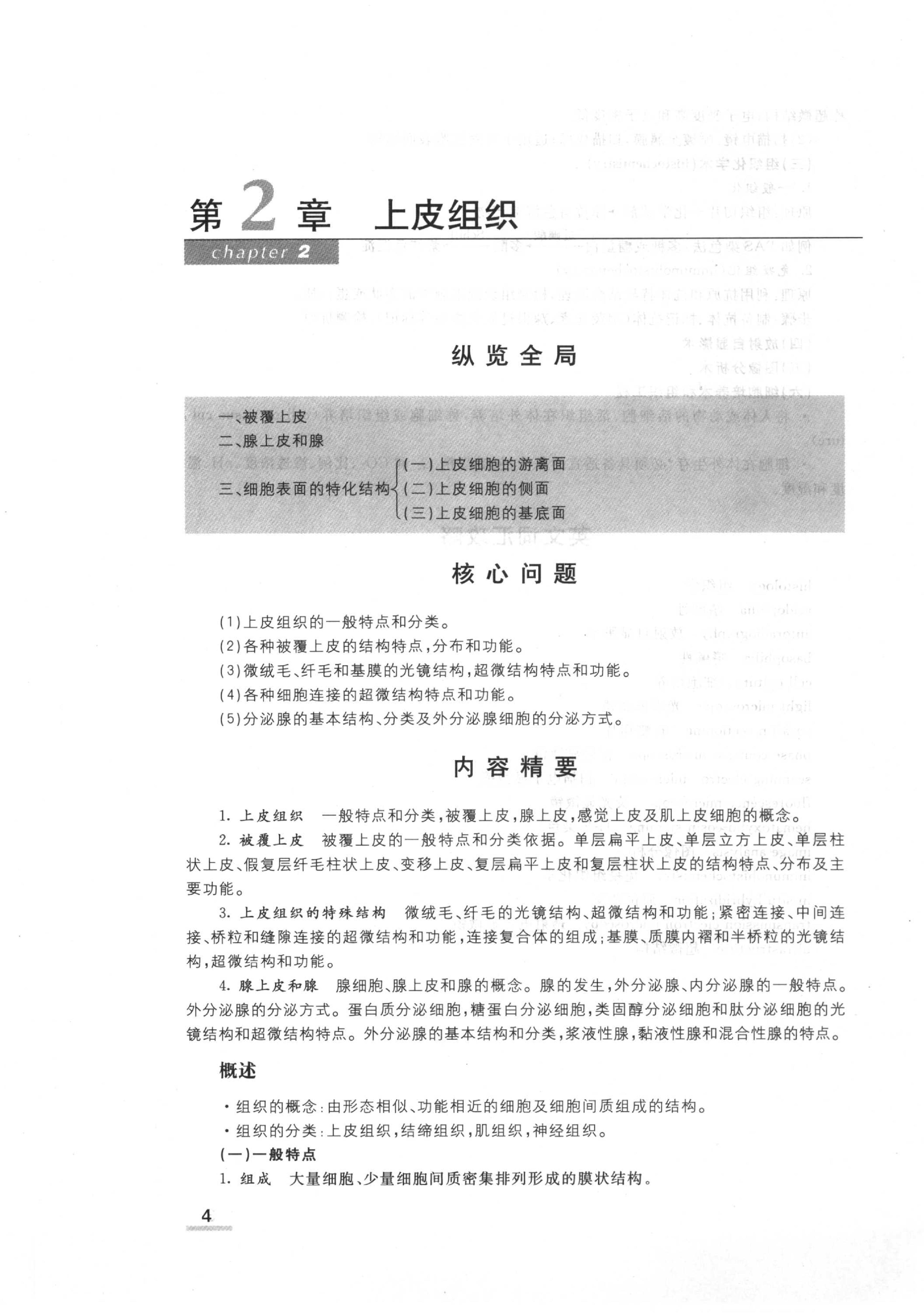 协和听课笔记：组织学与胚胎学.pdf_第6页