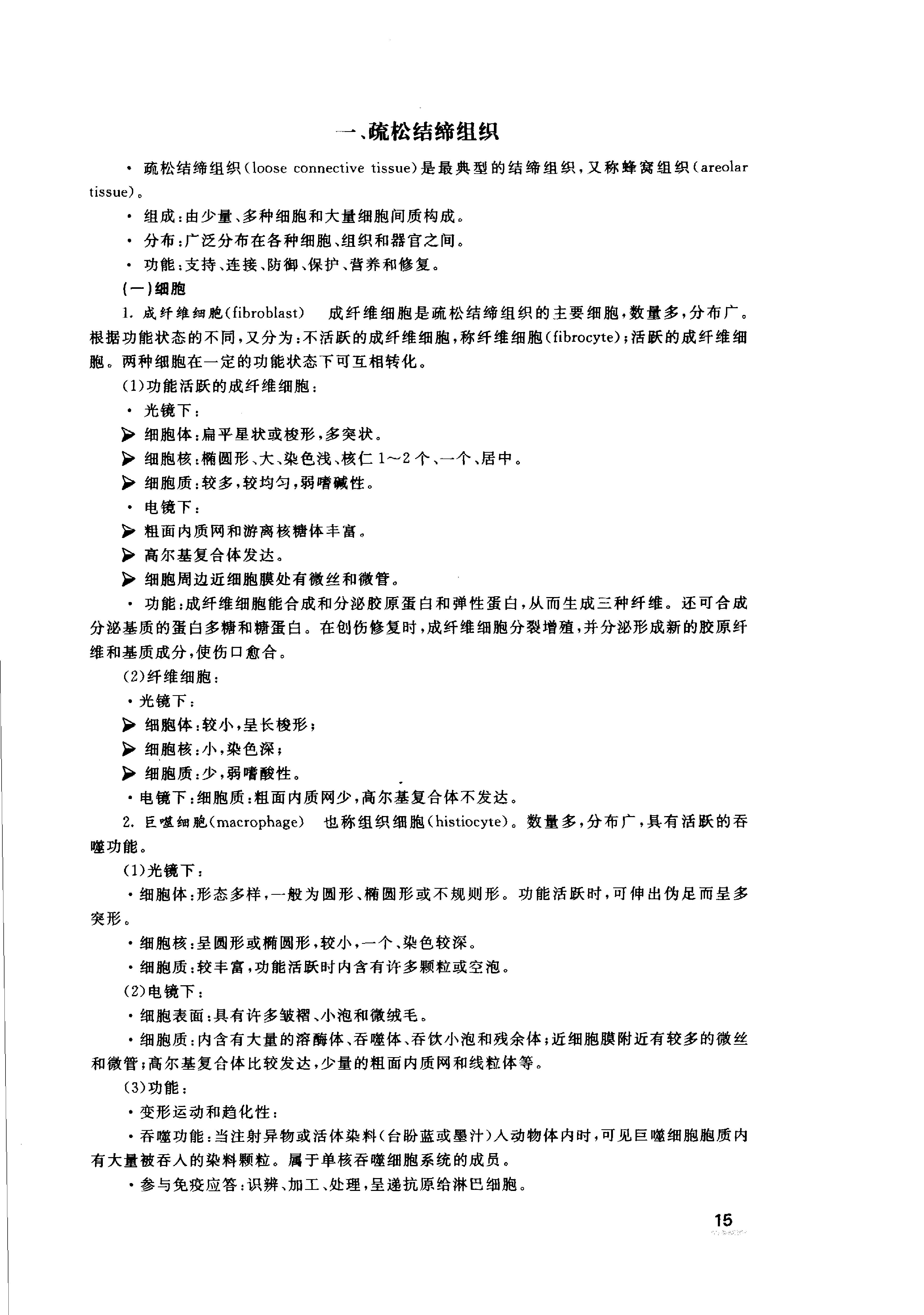 协和听课笔记：组织学与胚胎学.pdf_第17页