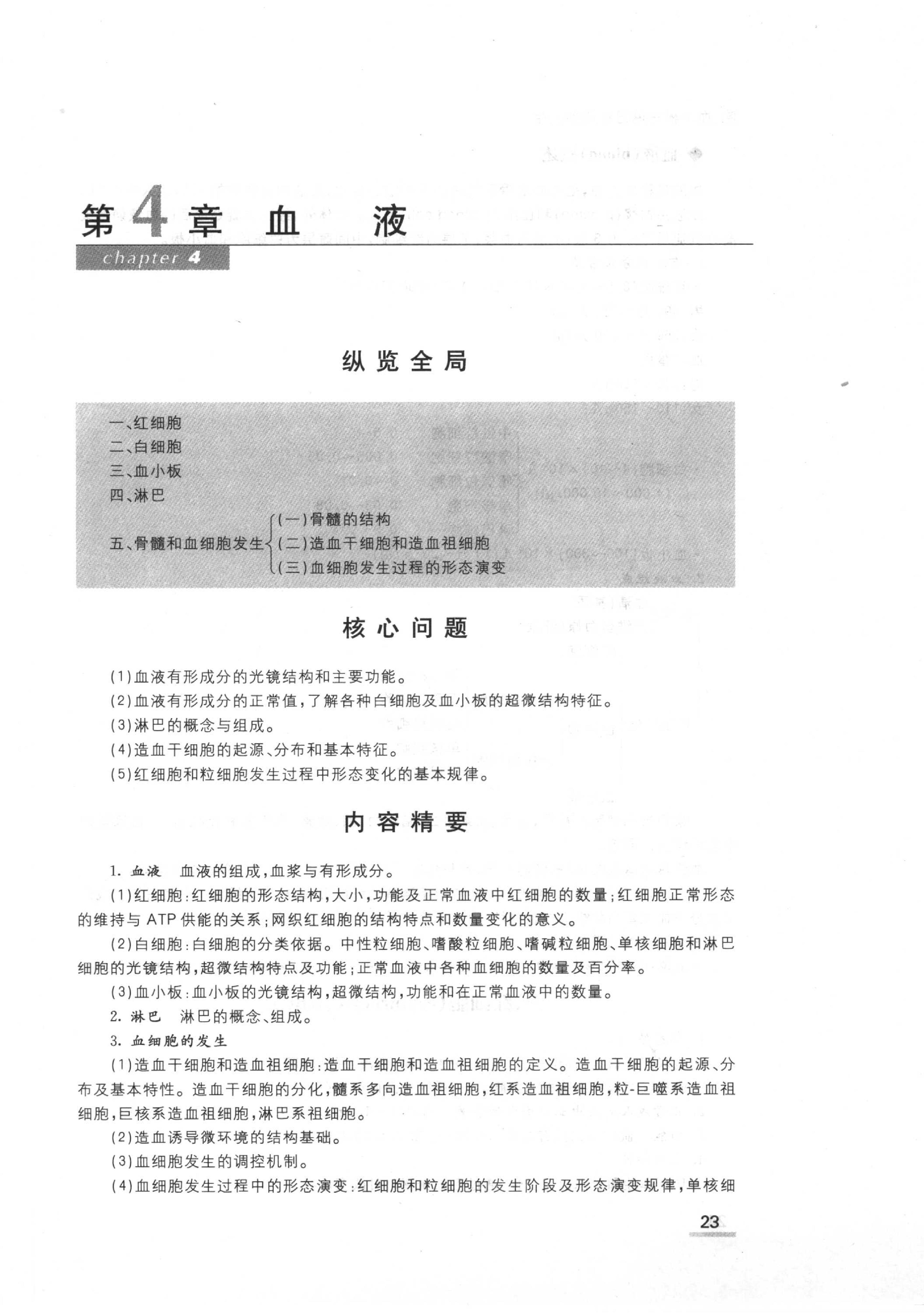 协和听课笔记：组织学与胚胎学.pdf_第25页