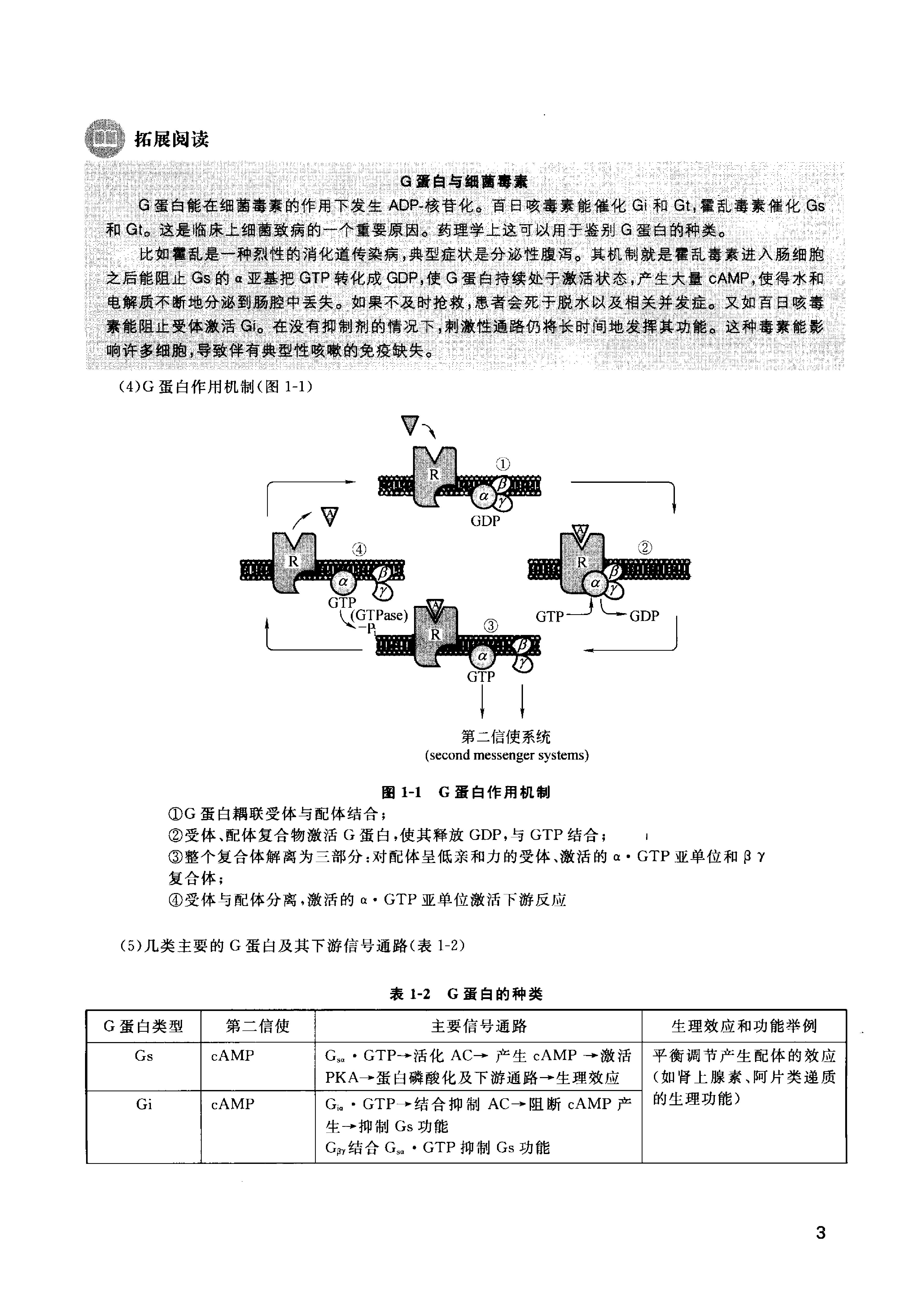 协和听课笔记：药理学.pdf_第12页