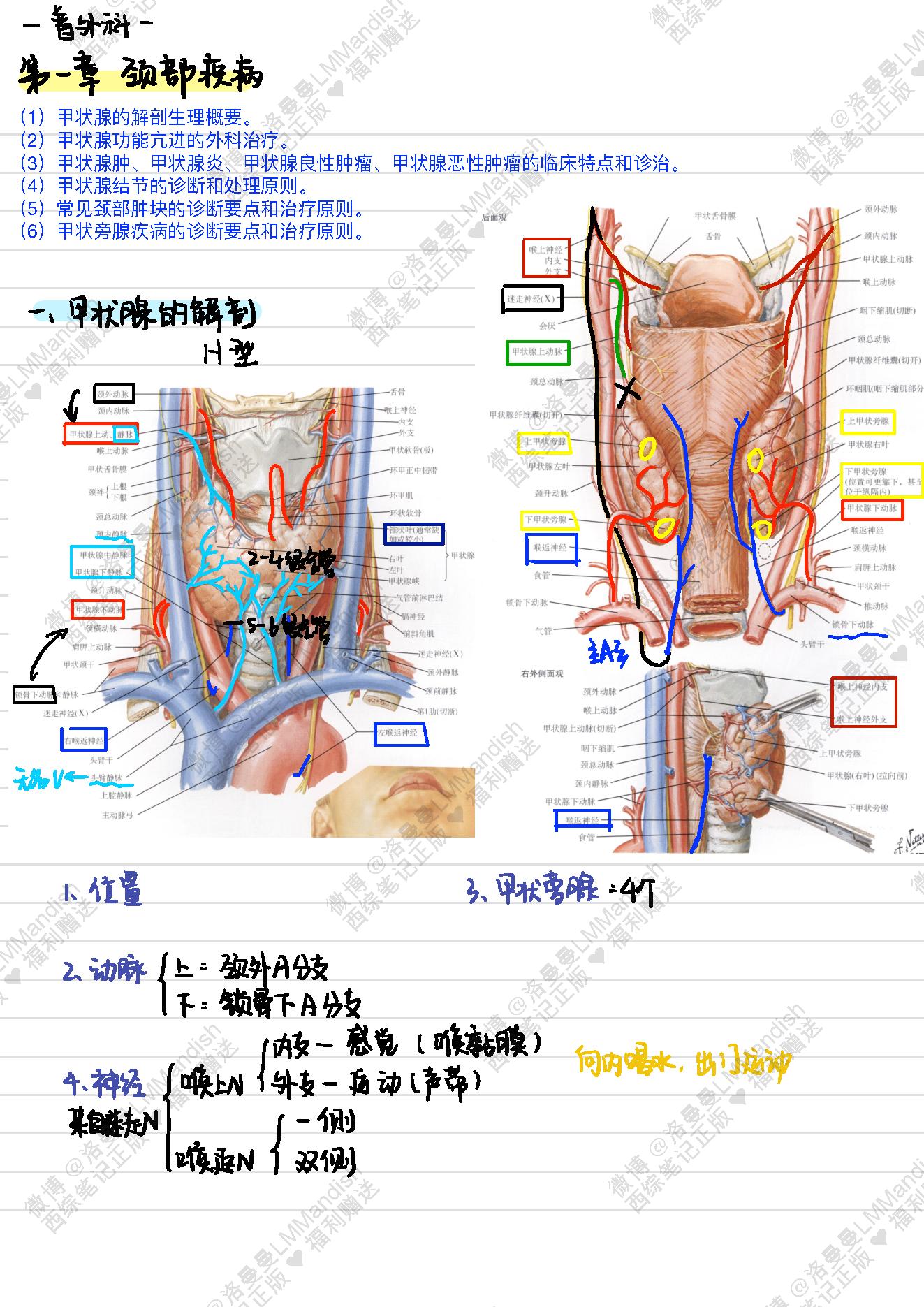 外科_西综笔记福利@洛曼曼LMMandish.pdf_第3页