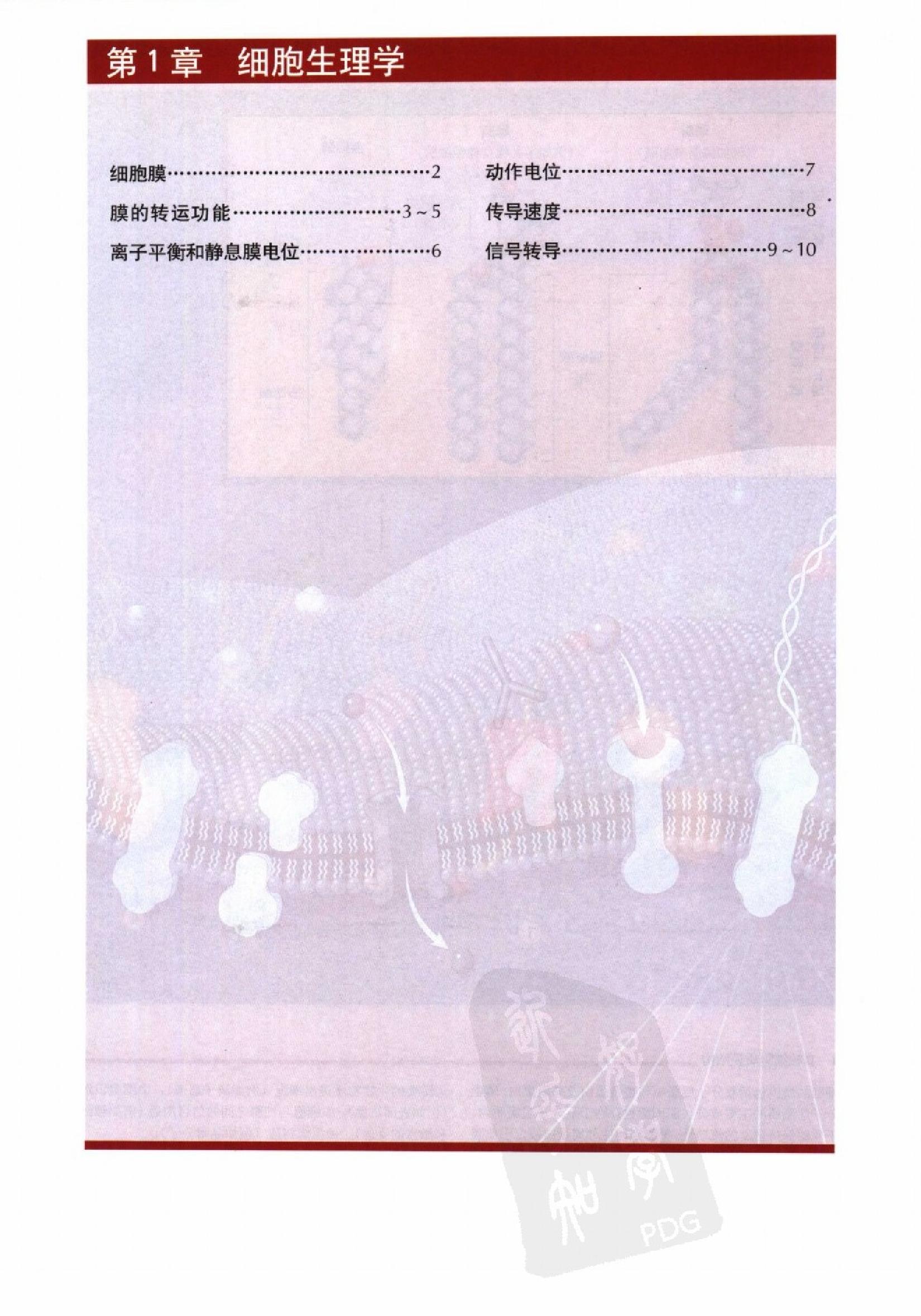 奈特人体生理学彩色图谱（高清中文版） 76 心电.pdf_第9页