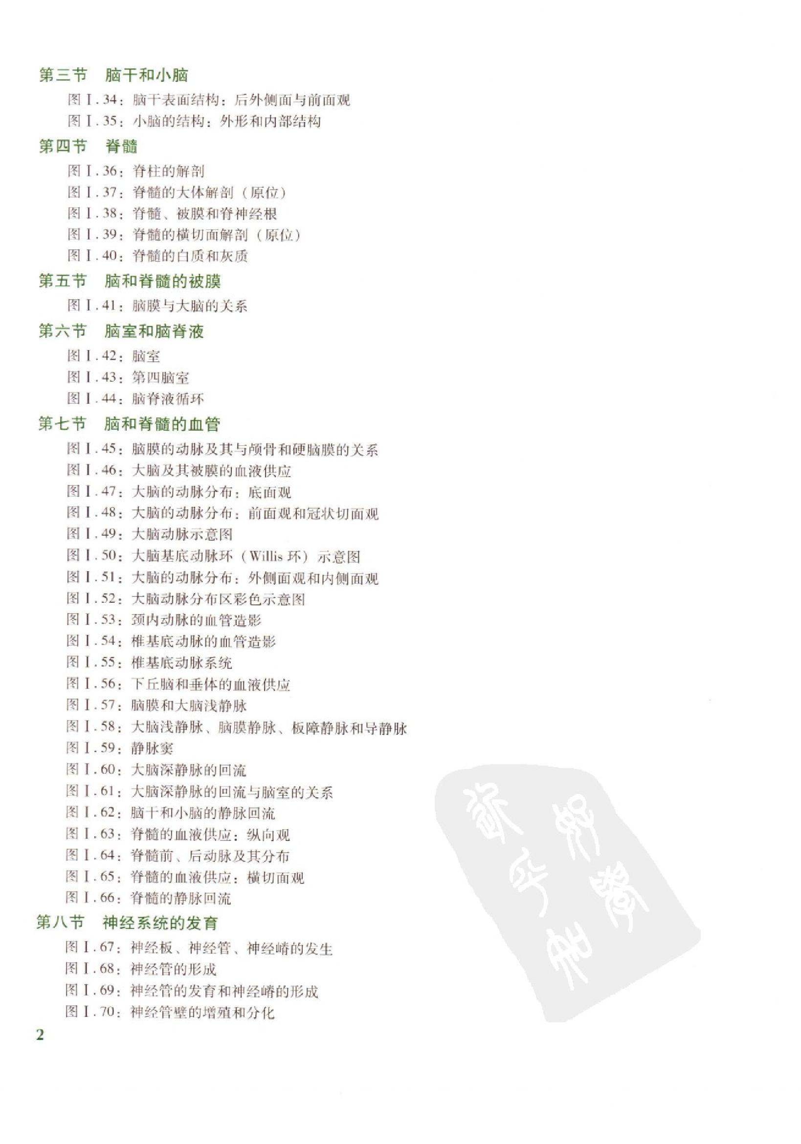 奈特人体神经解剖彩色图谱（高清中文版）.pdf_第13页