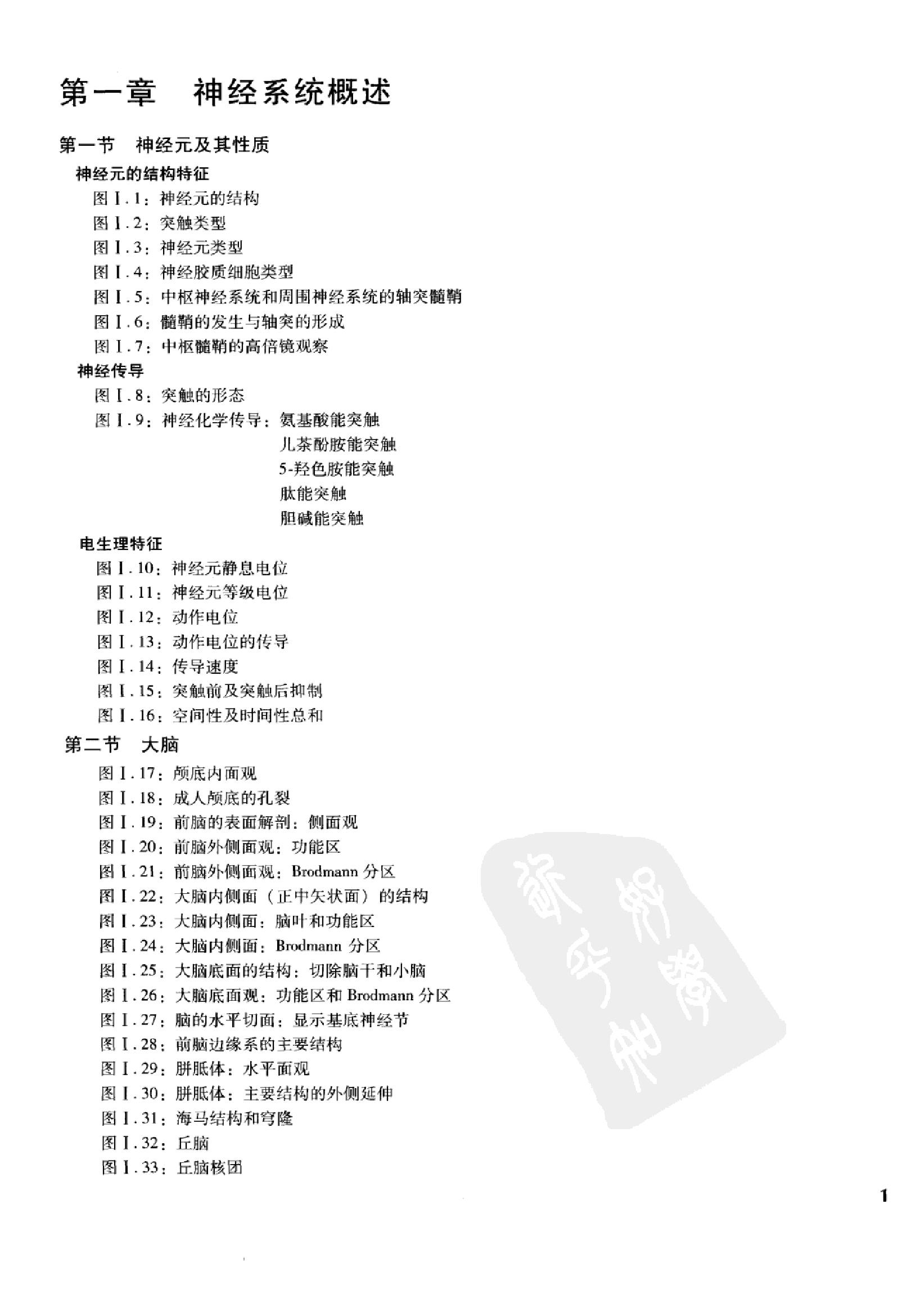 奈特人体神经解剖彩色图谱（高清中文版）.pdf_第12页