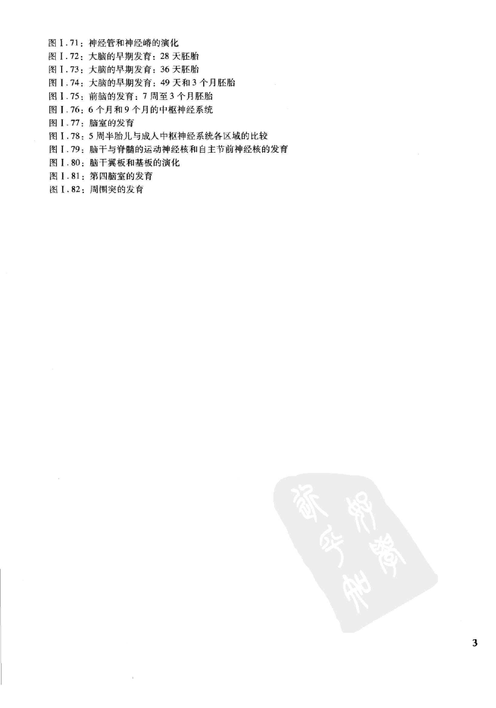 奈特人体神经解剖彩色图谱（高清中文版）.pdf_第14页