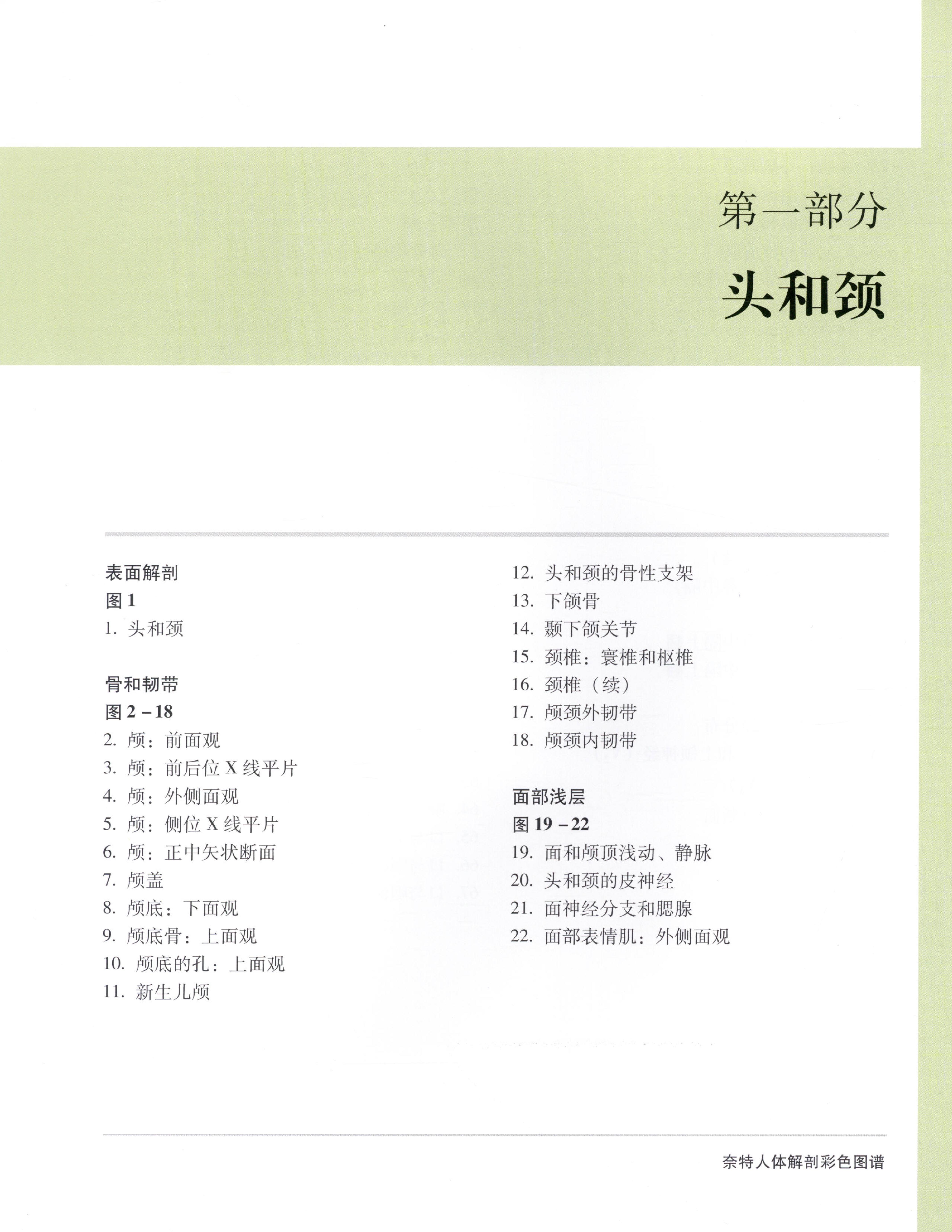 奈特人体解剖彩色图谱（第3版）（高清中文版）.pdf_第13页