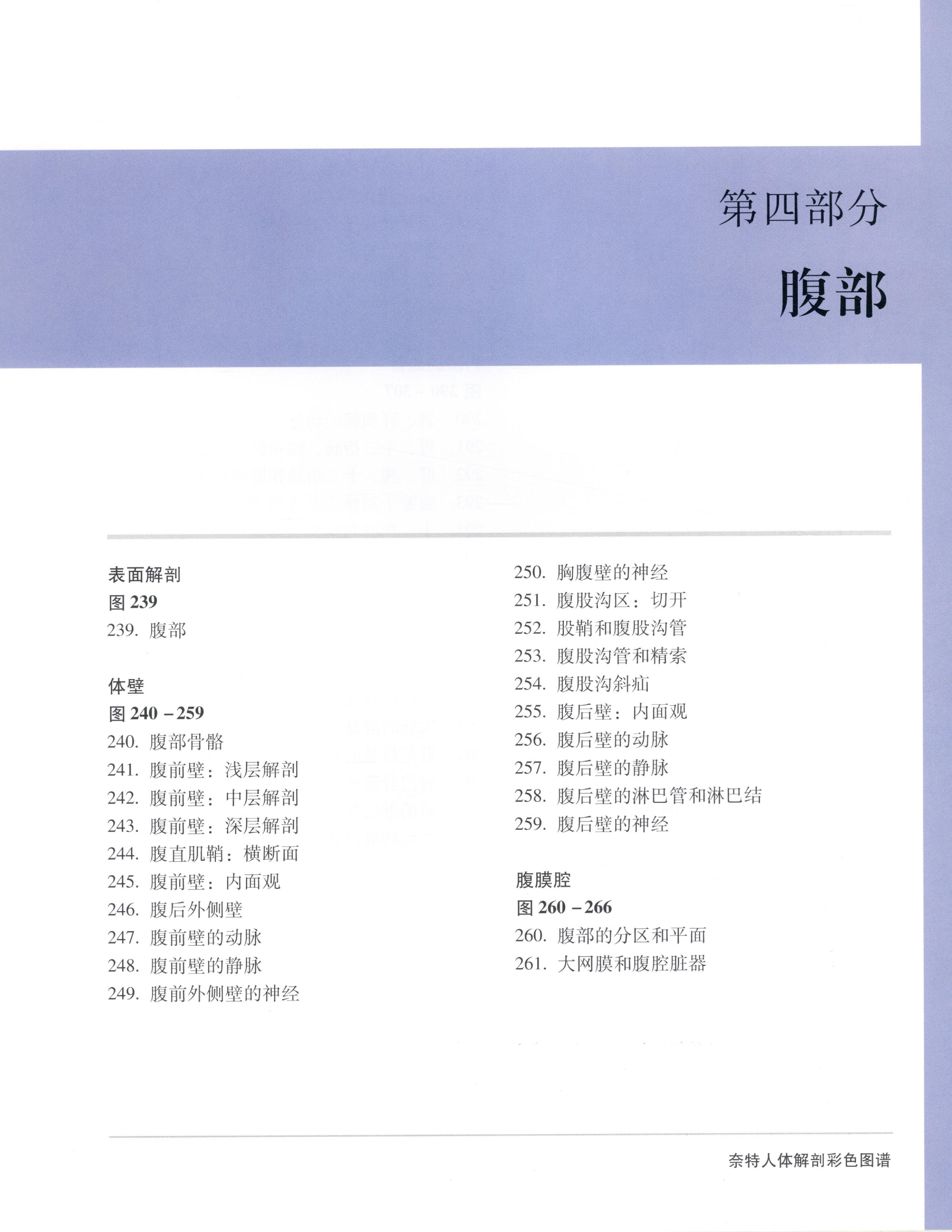 奈特人体解剖彩色图谱（第3版）（高清中文版）.pdf_第21页