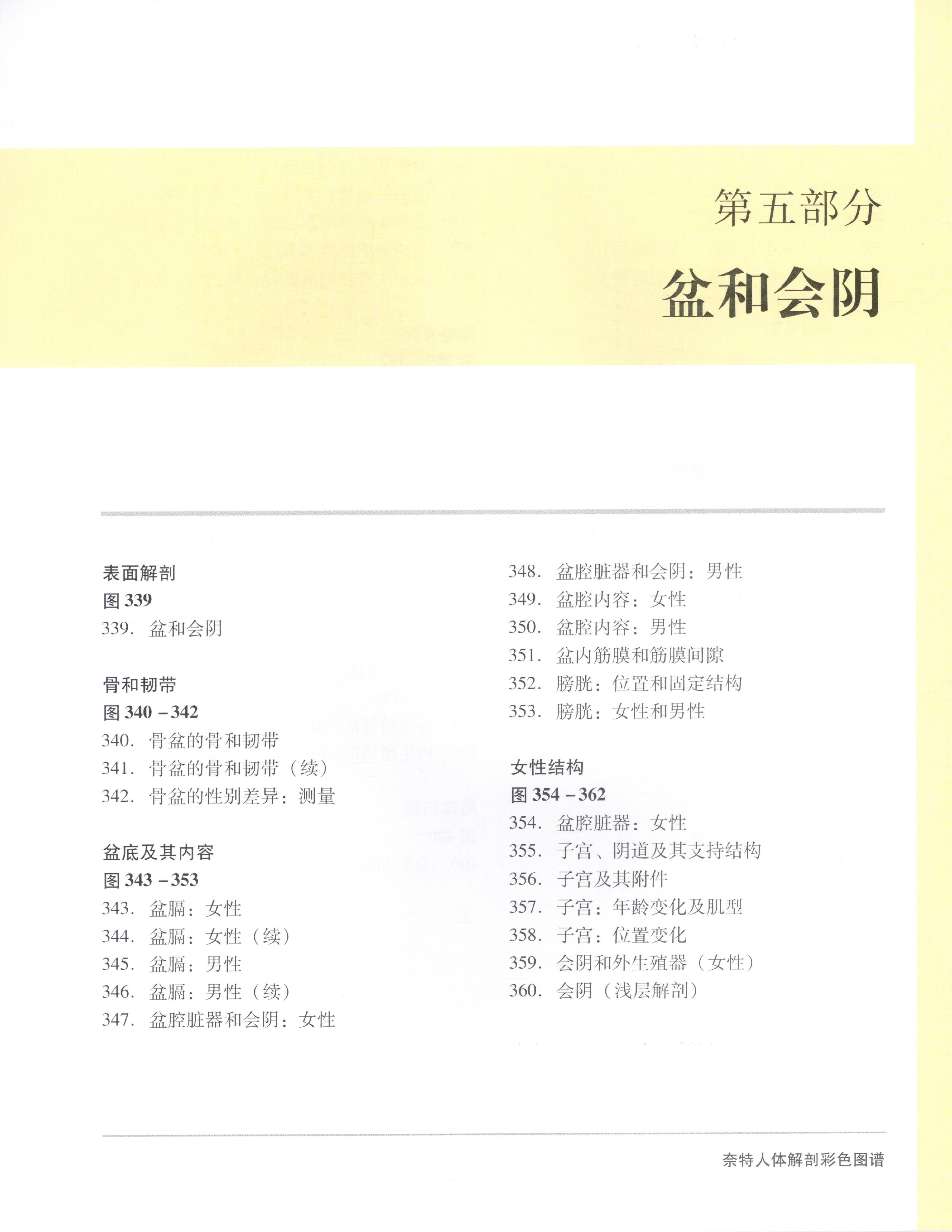 奈特人体解剖彩色图谱（第3版）（高清中文版）.pdf_第24页