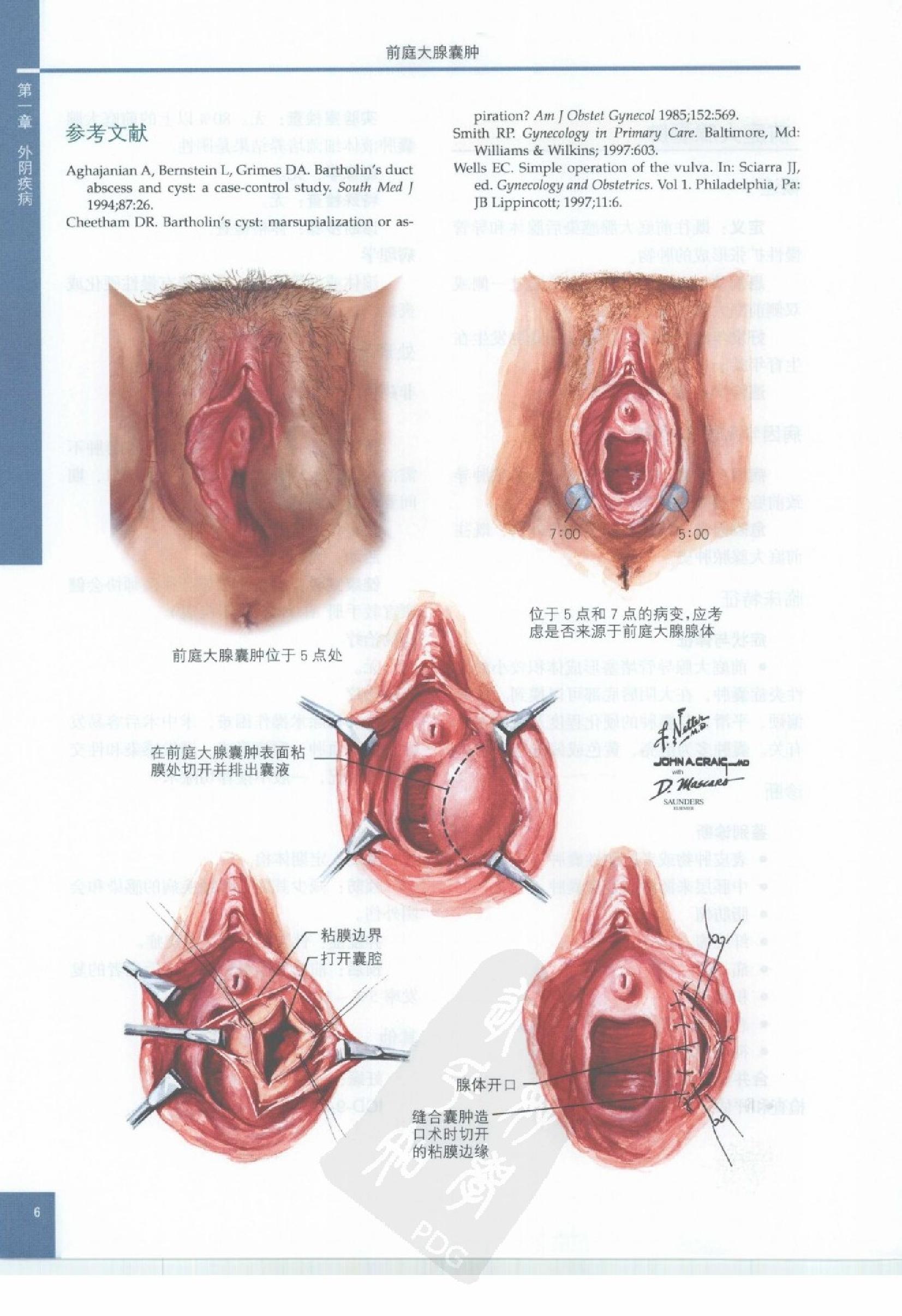 奈特妇产科彩色图谱（高清中文版）.pdf_第16页