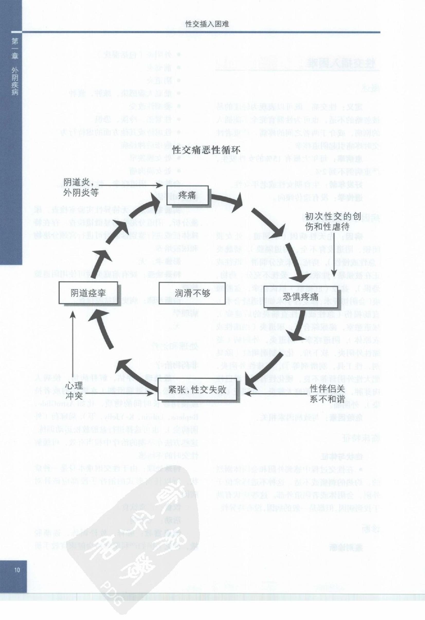 奈特妇产科彩色图谱（高清中文版）.pdf_第20页