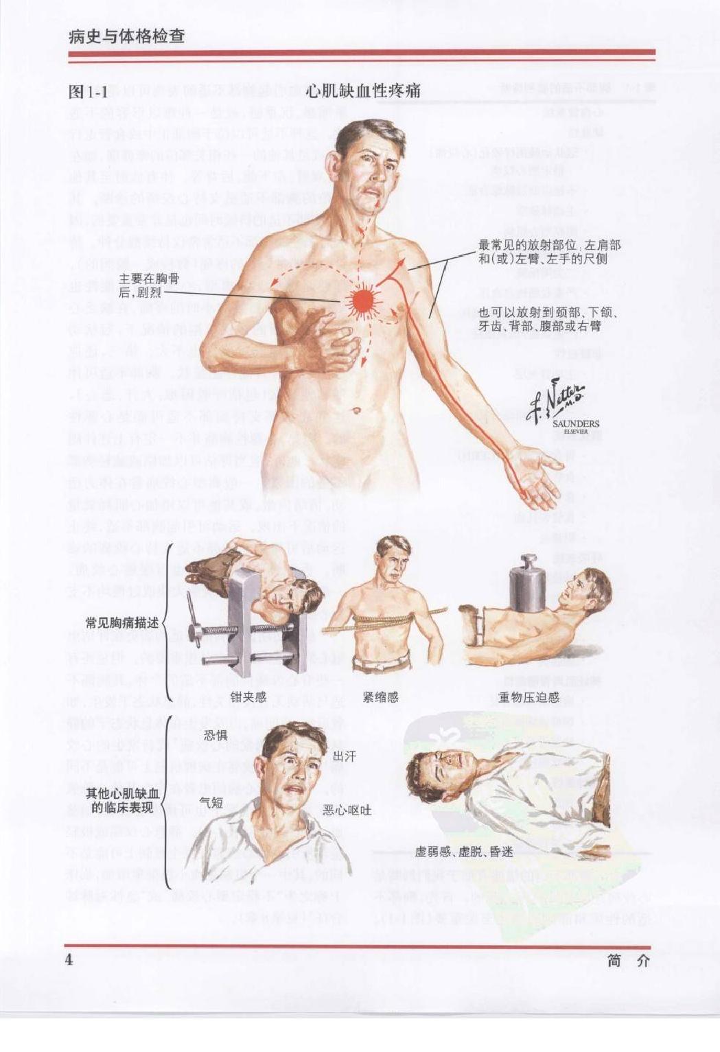 奈特心脏病学彩色图谱（高清中文版）.pdf_第12页