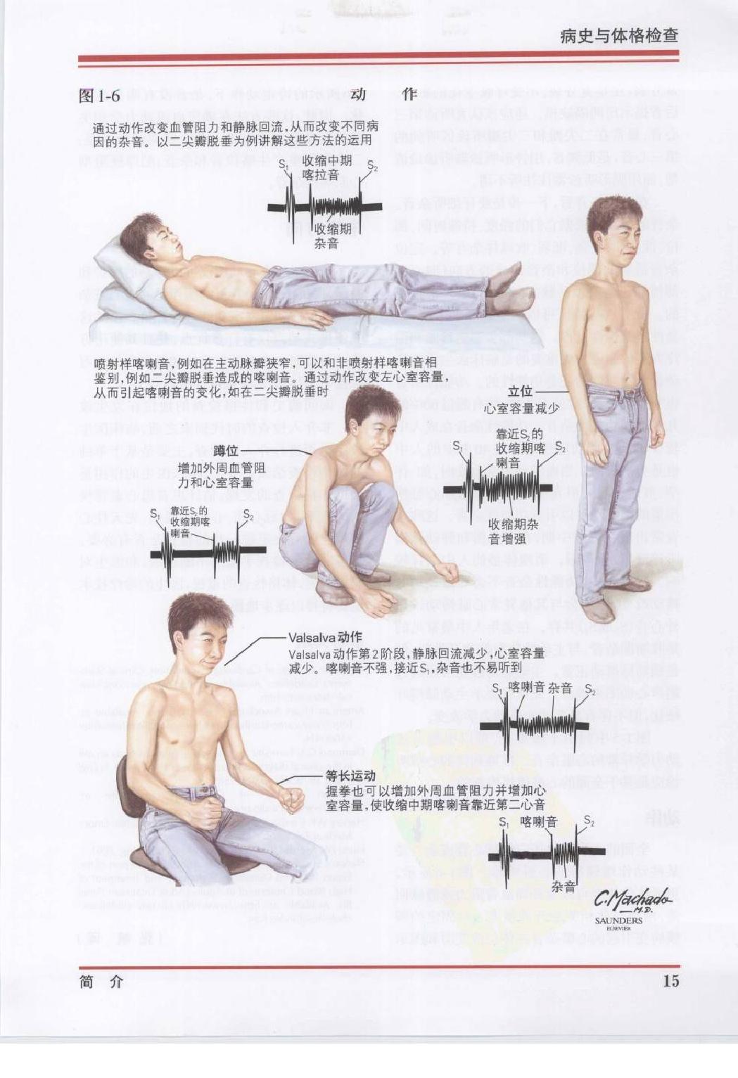 奈特心脏病学彩色图谱（高清中文版）.pdf_第23页