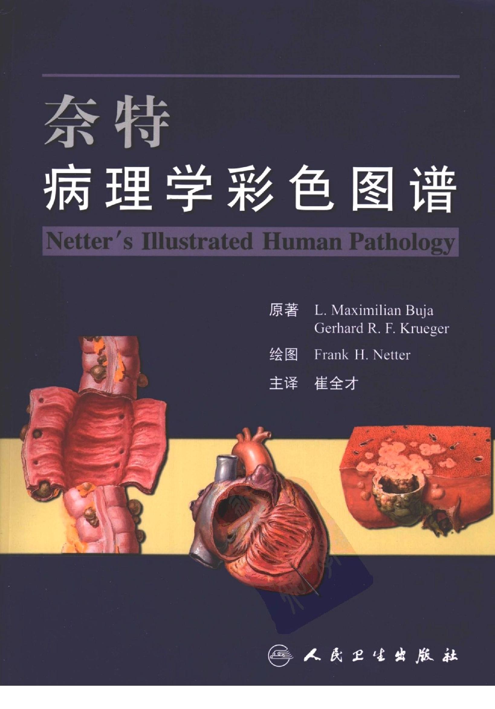 奈特病理学彩色图谱（高清中文版）.pdf_第1页