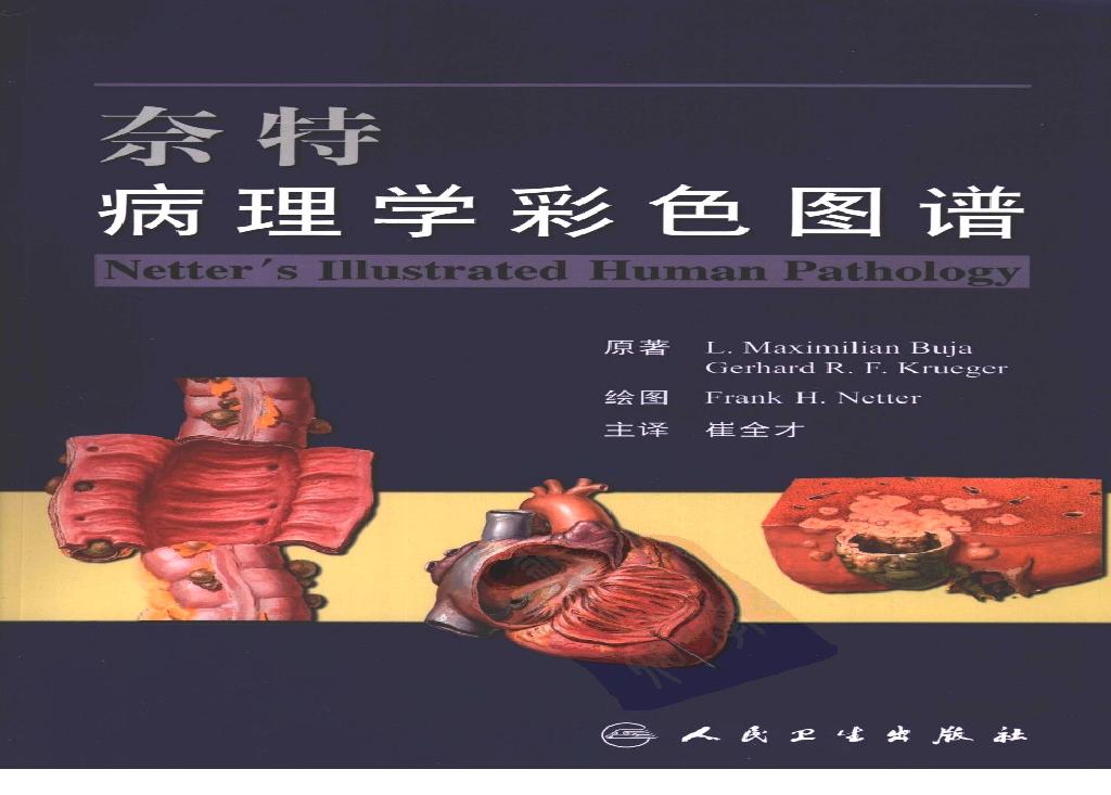 奈特病理学彩色图谱（高清中文版）.pdf(116.43MB_532页)