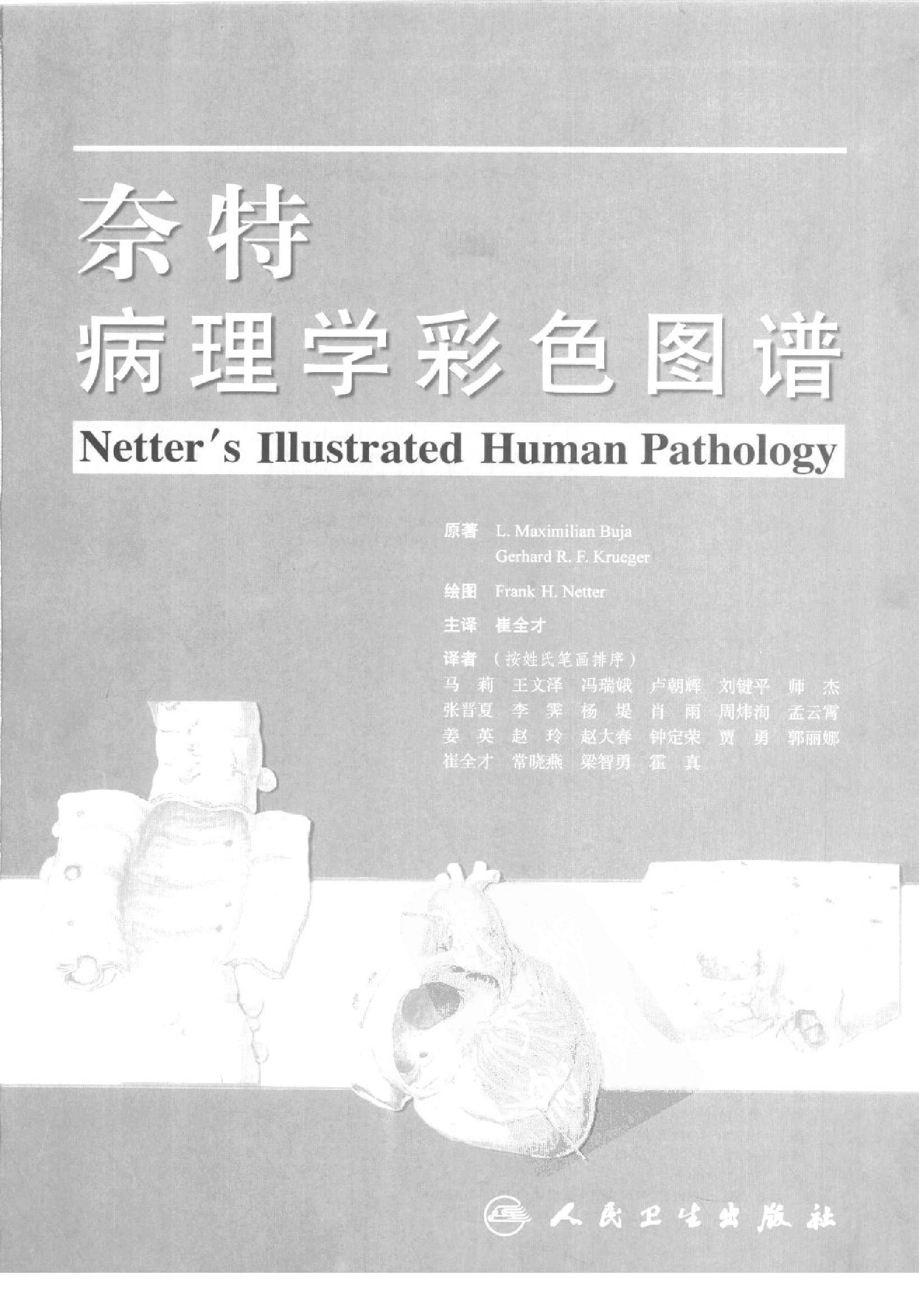 奈特病理学彩色图谱（高清中文版）.pdf_第3页