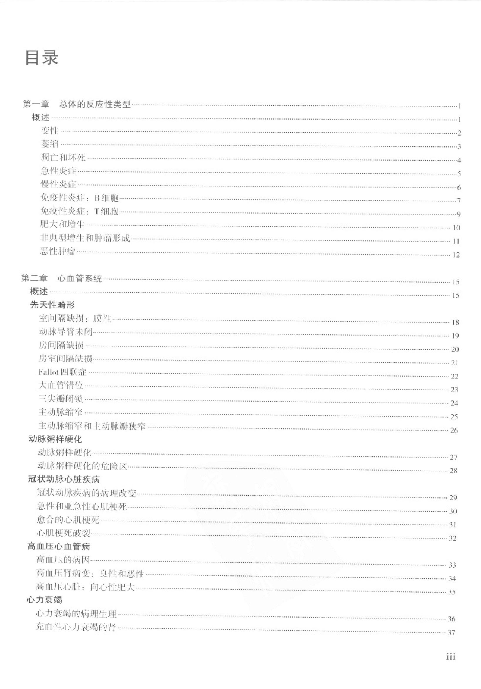 奈特病理学彩色图谱（高清中文版）.pdf_第6页